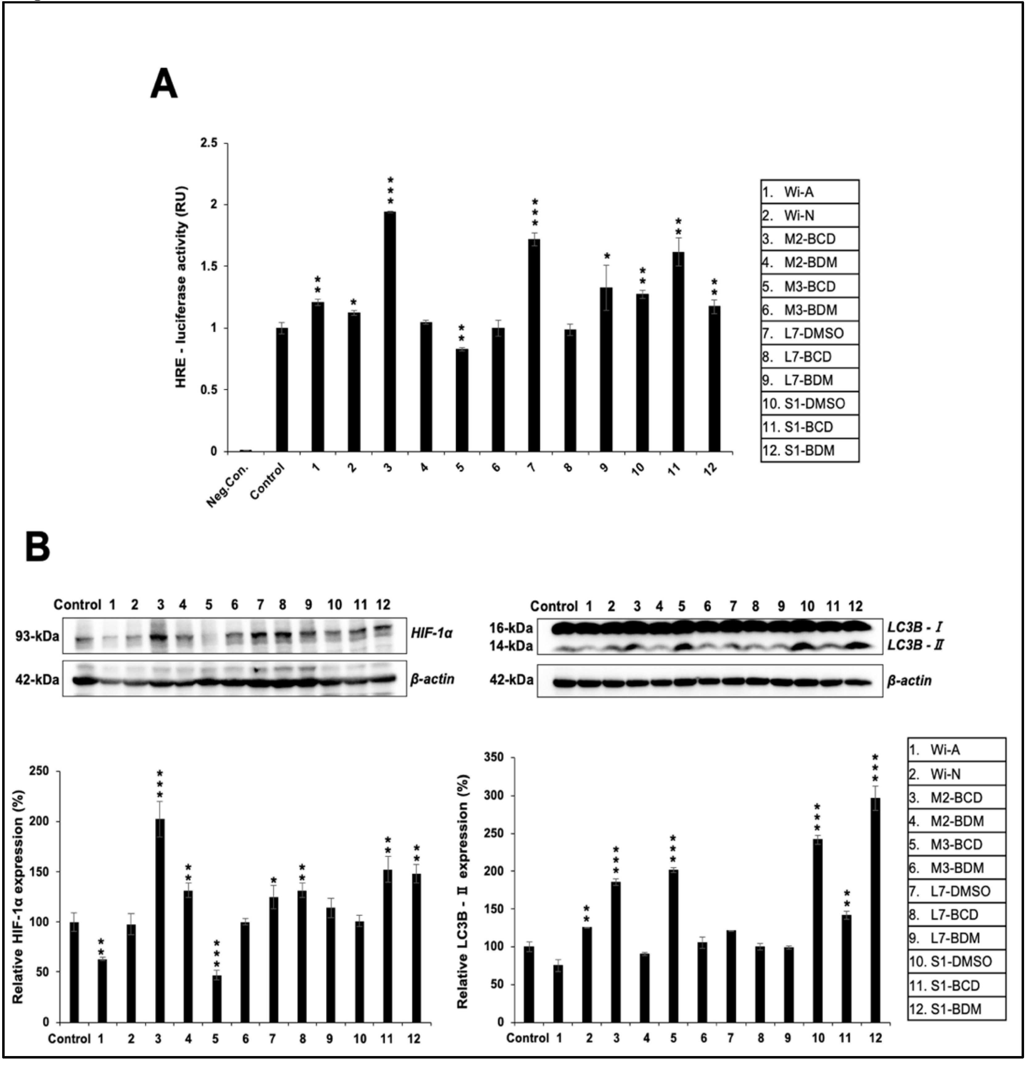 Biomolecules 11 01454 g007