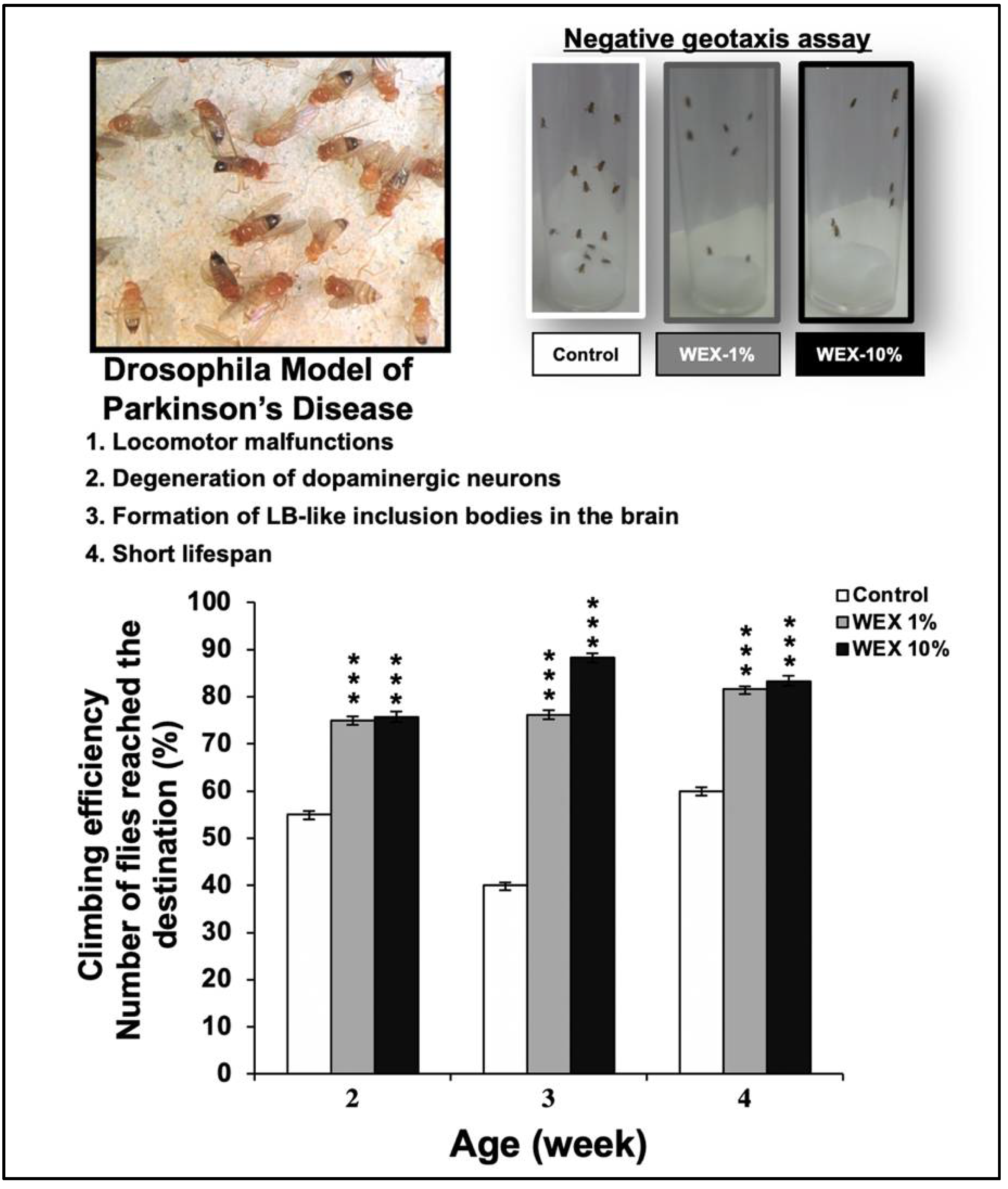Biomolecules 11 01454 g009