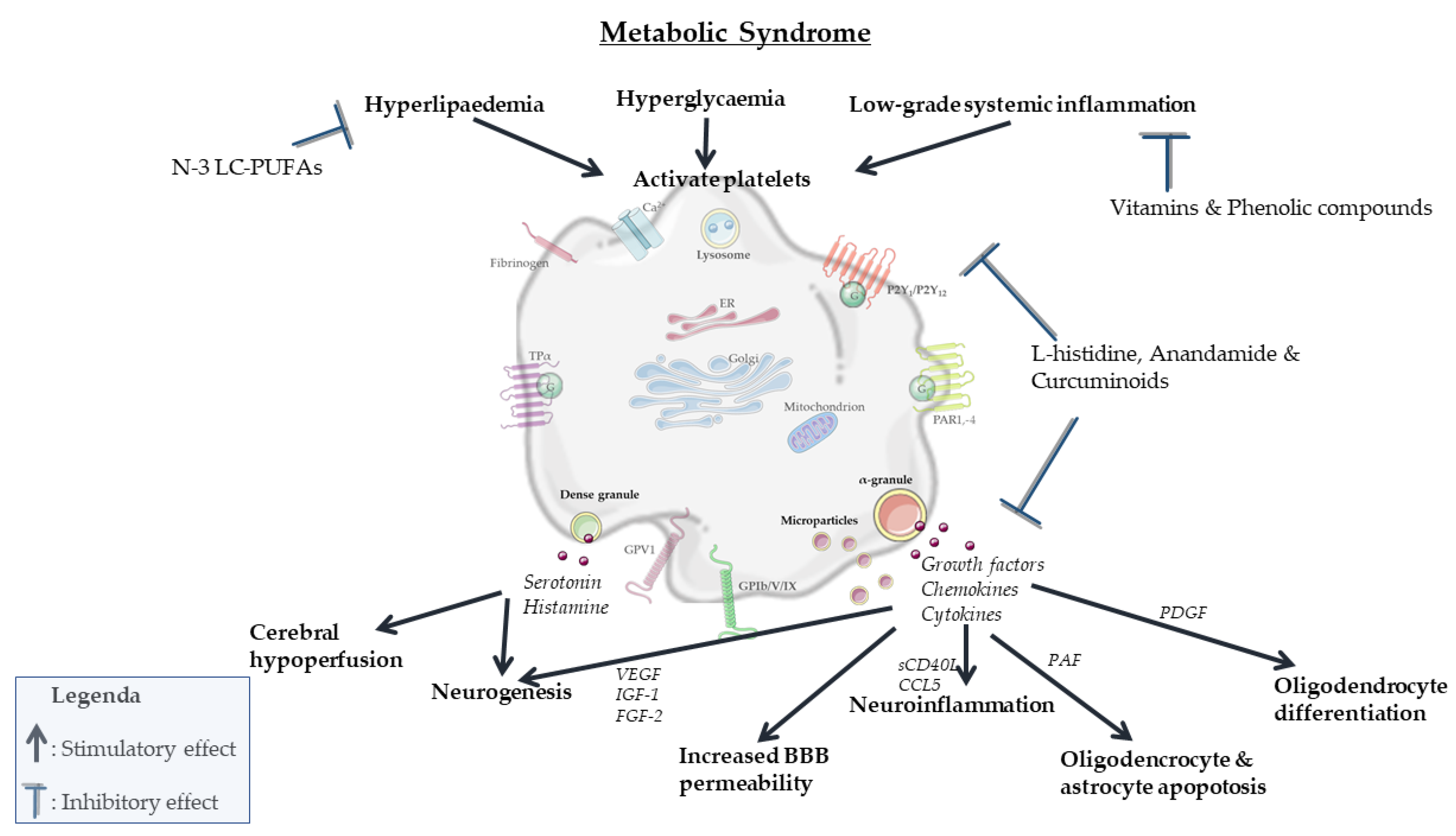 Biomolecules 11 01455 g004 Biomolecules 11 01455 g004
