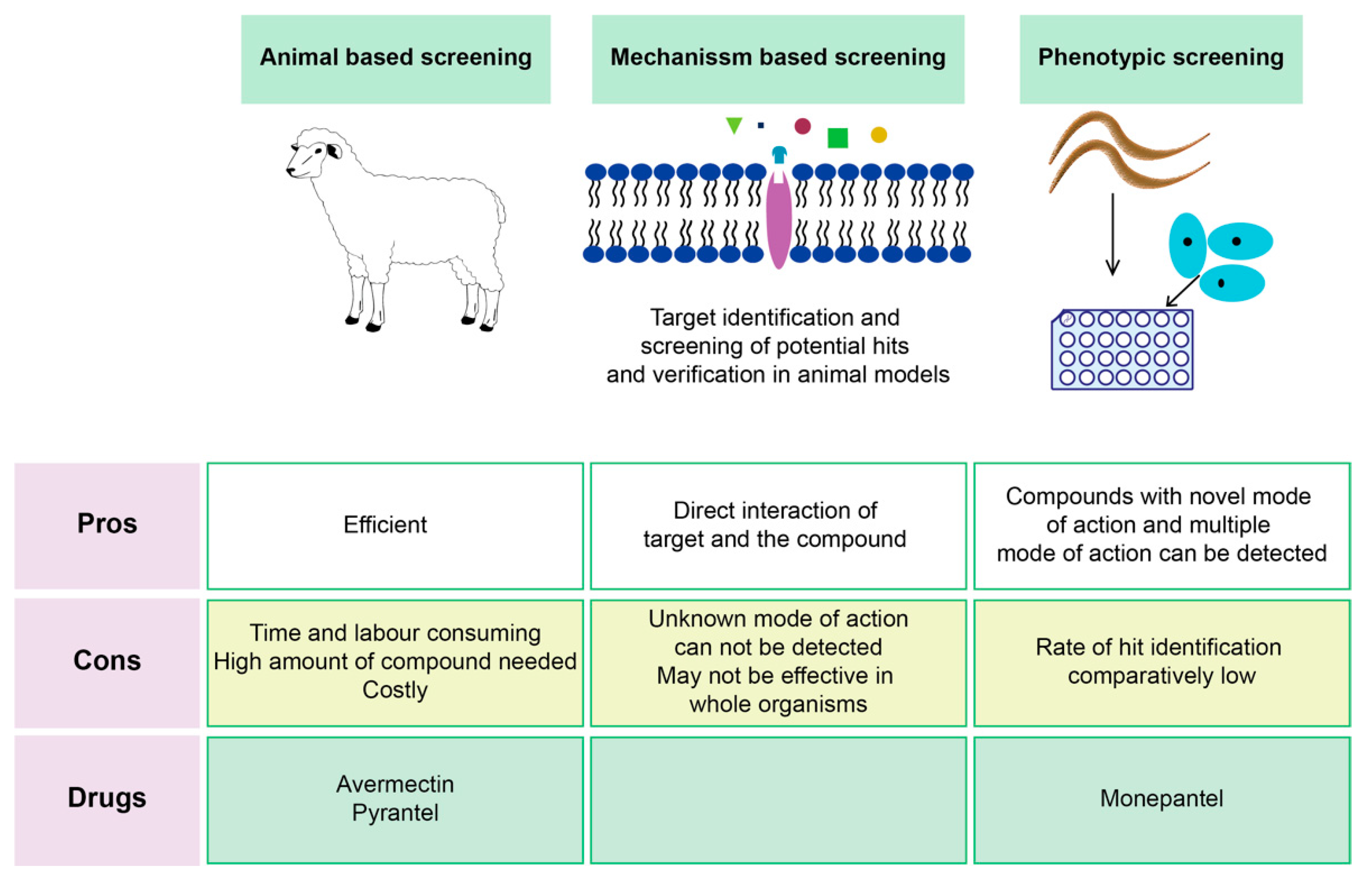 anthelmintic mode of action