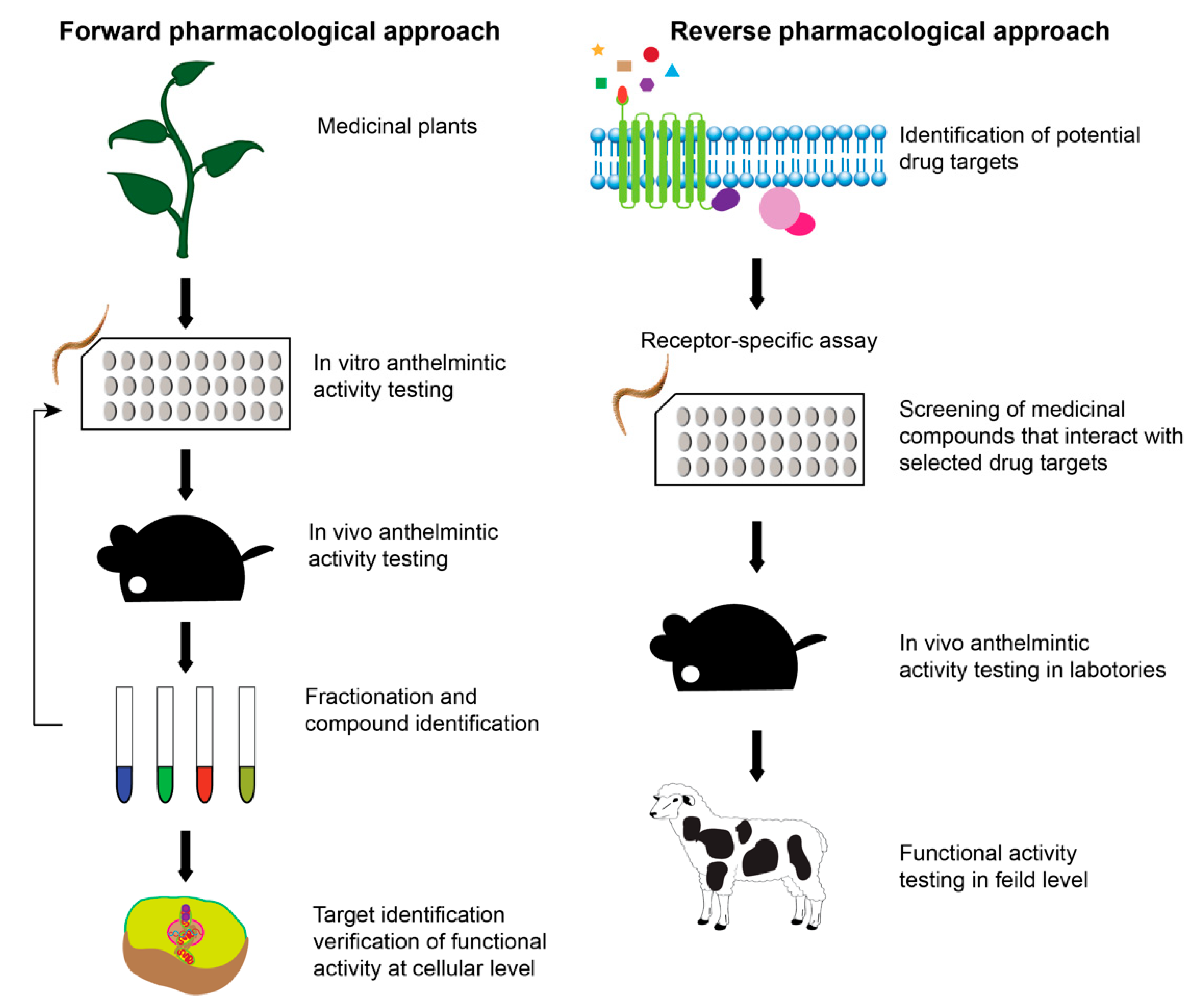 anthelmintic property