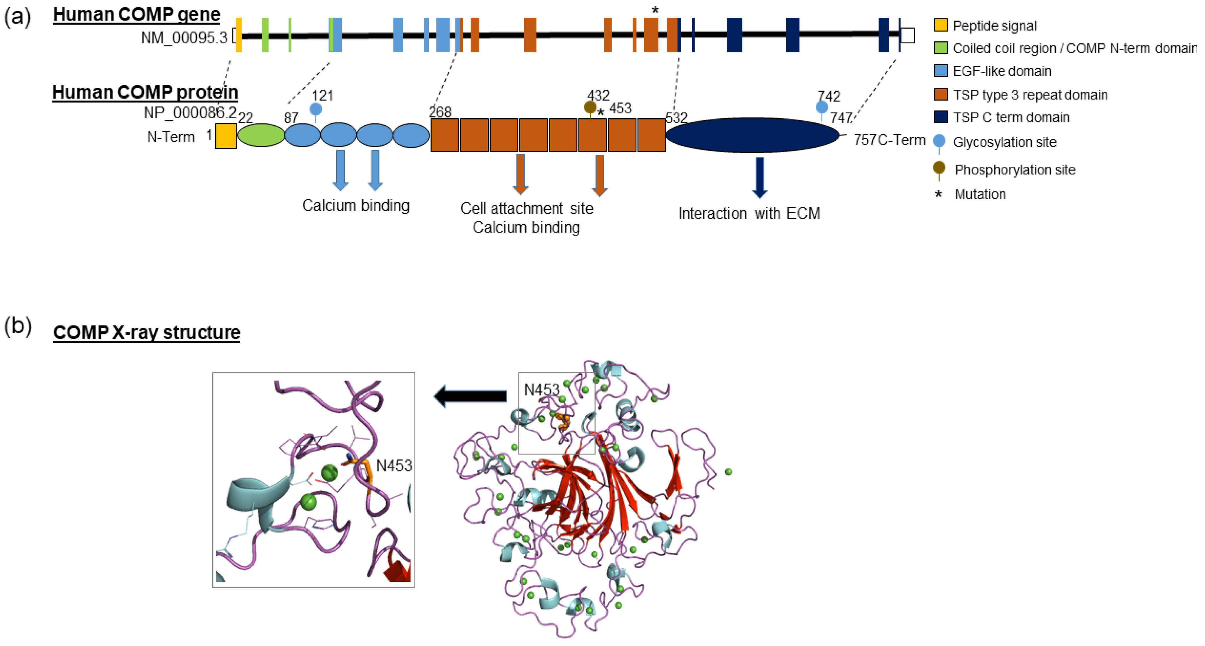 Biomolecules 11 01460 g002 550