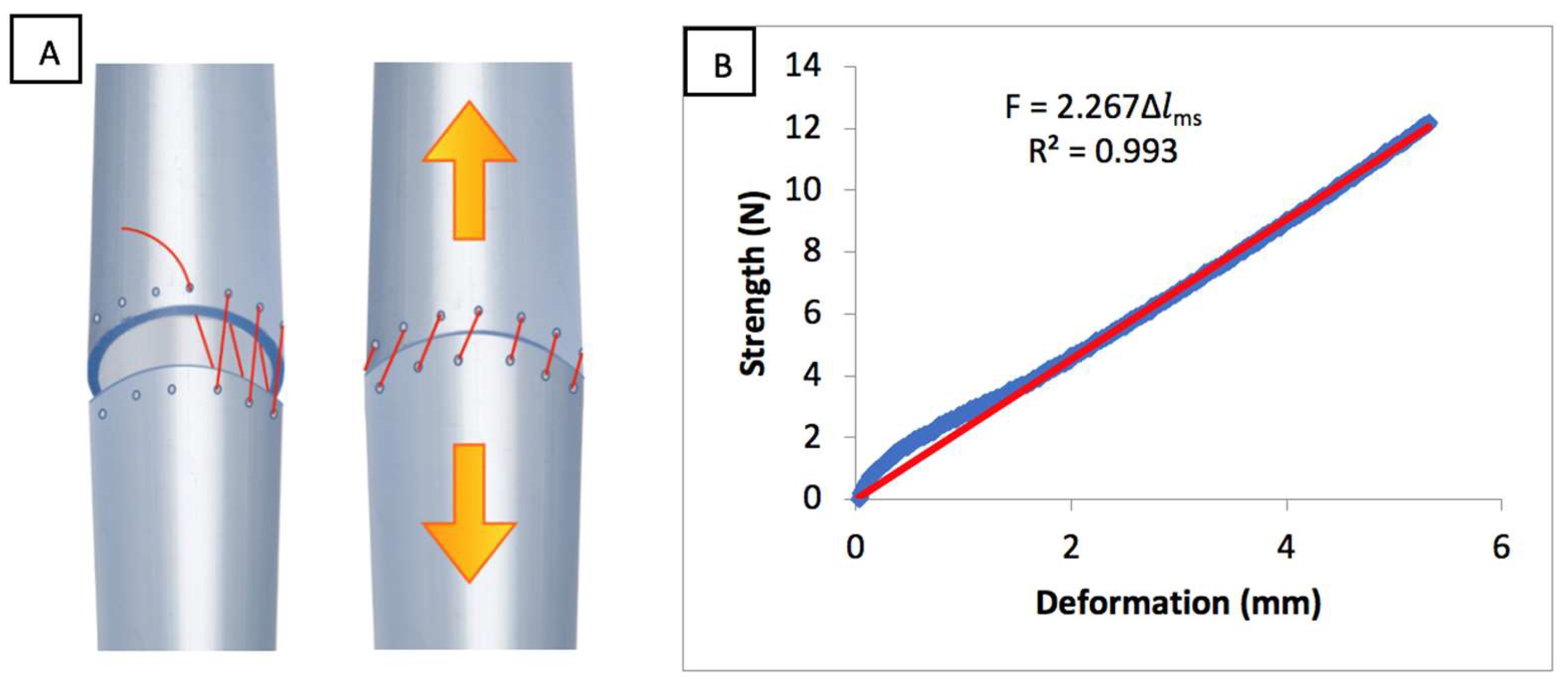 Biomolecules 11 01461 g003 Biomolecules 11 01461 g003