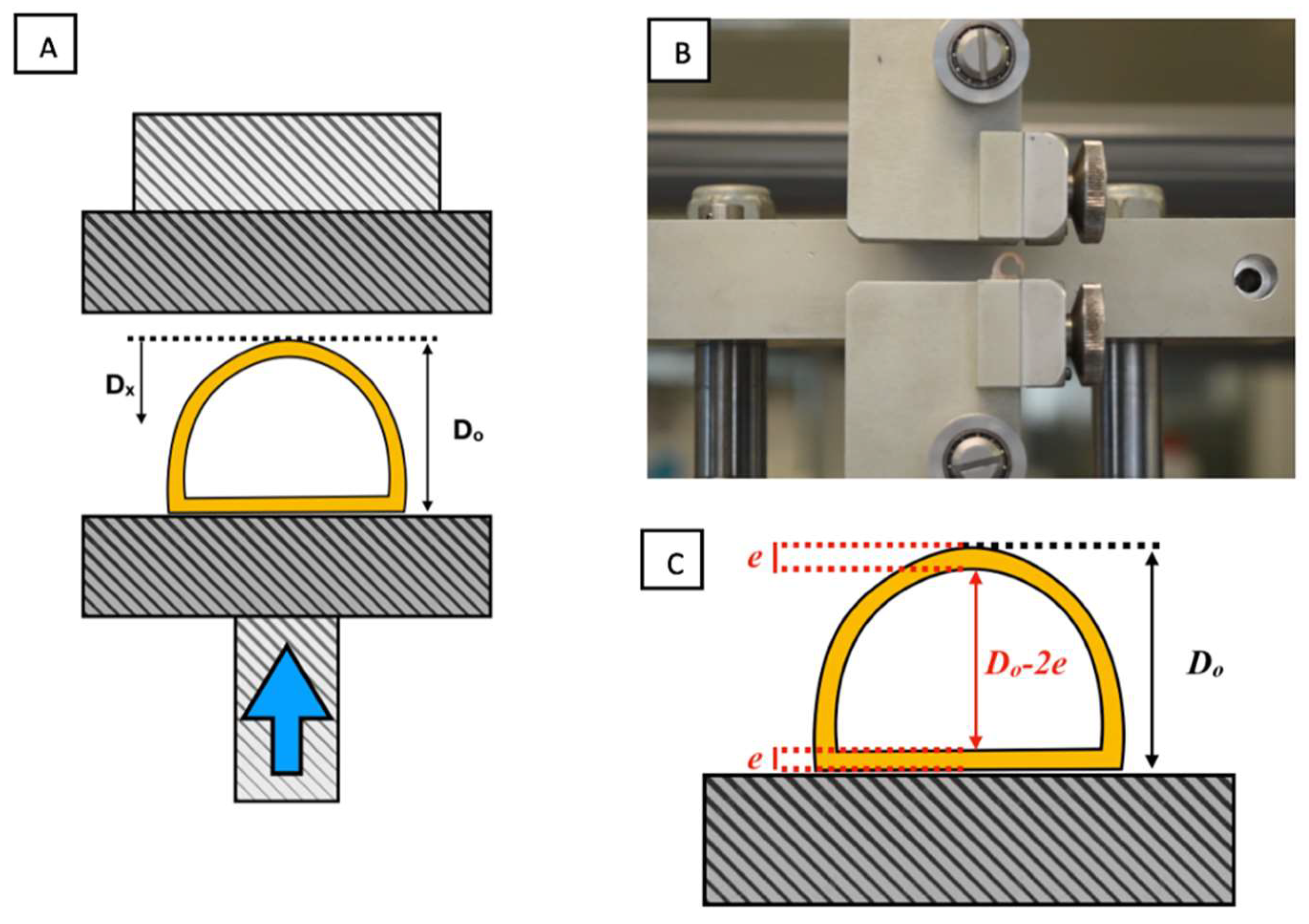 Biomolecules 11 01461 g005 Biomolecules 11 01461 g005