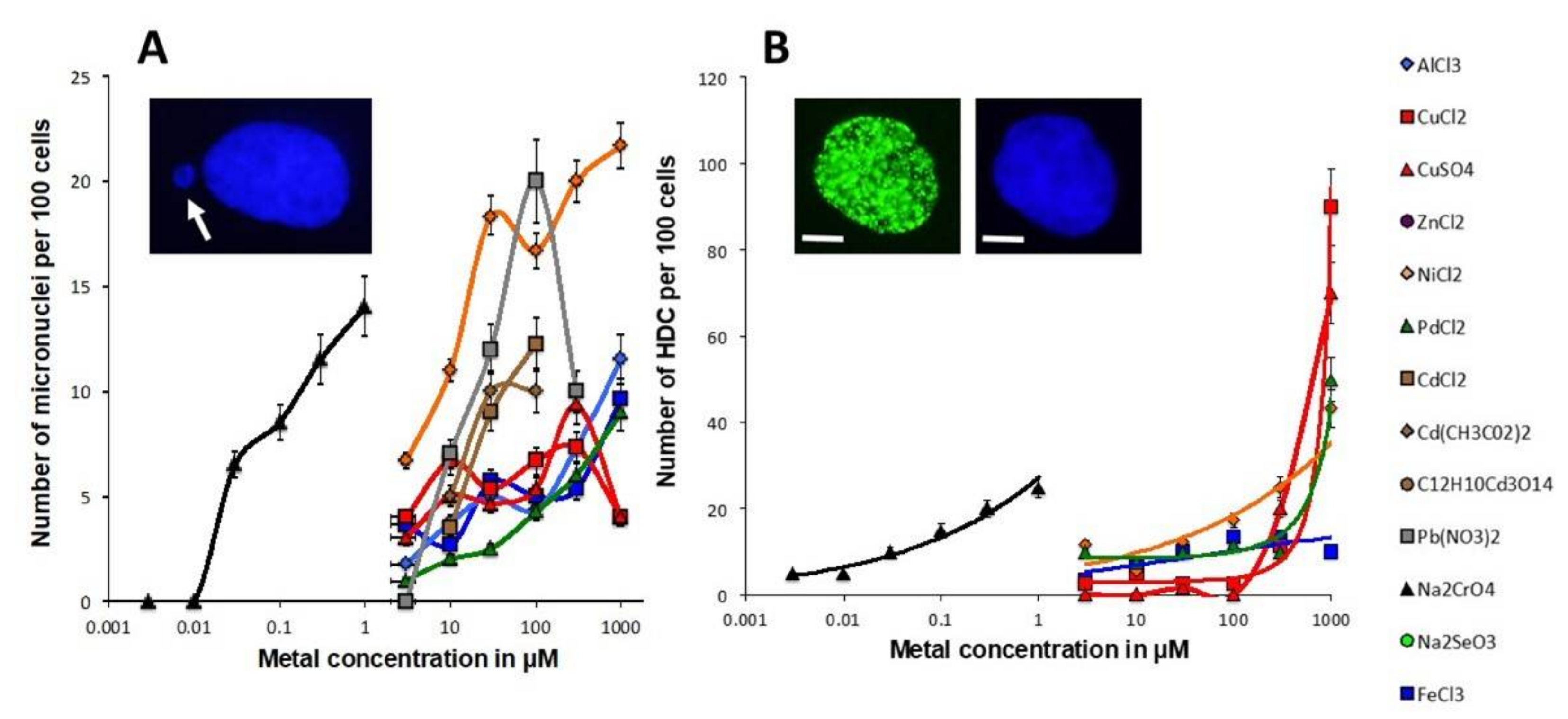 Biomolecules 11 01462 g002