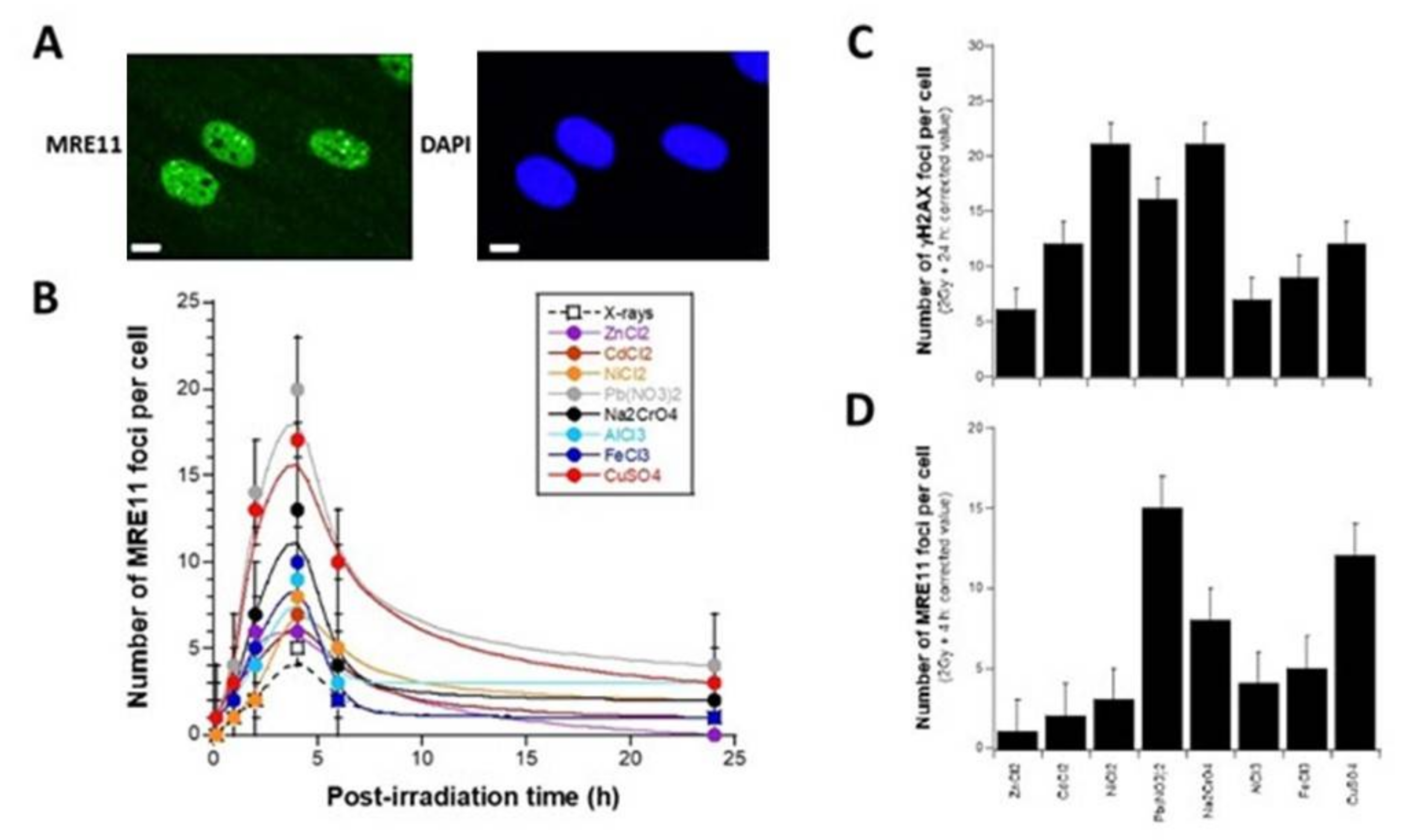 Biomolecules 11 01462 g005