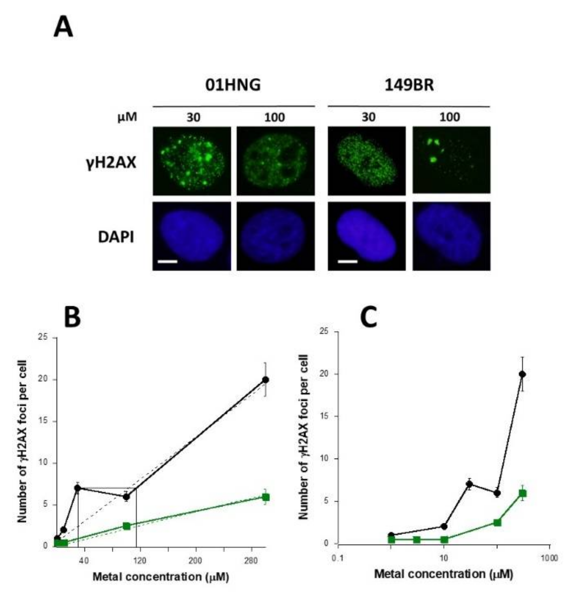 Biomolecules 11 01462 g006