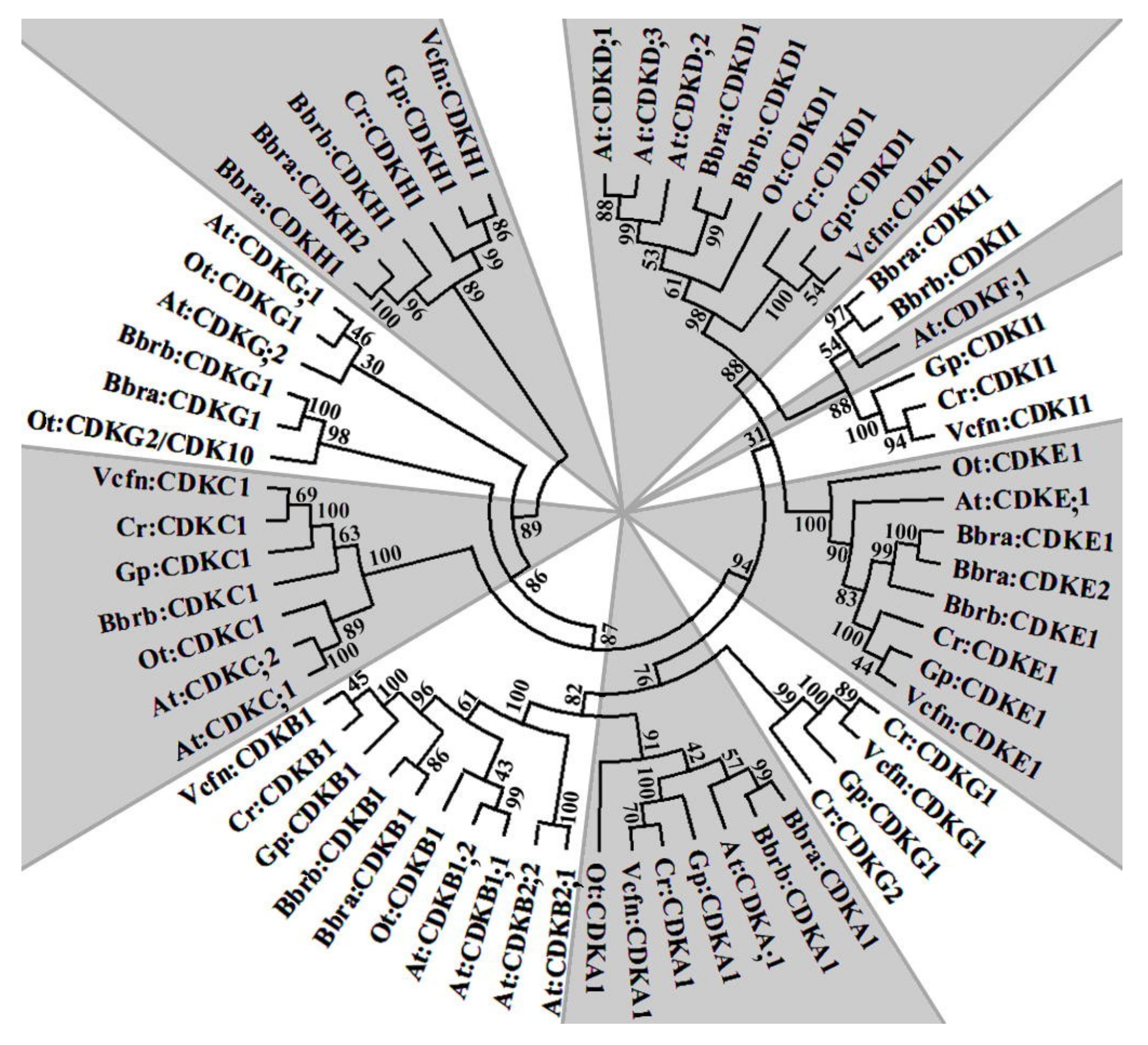 Biomolecules 11 01463 g001