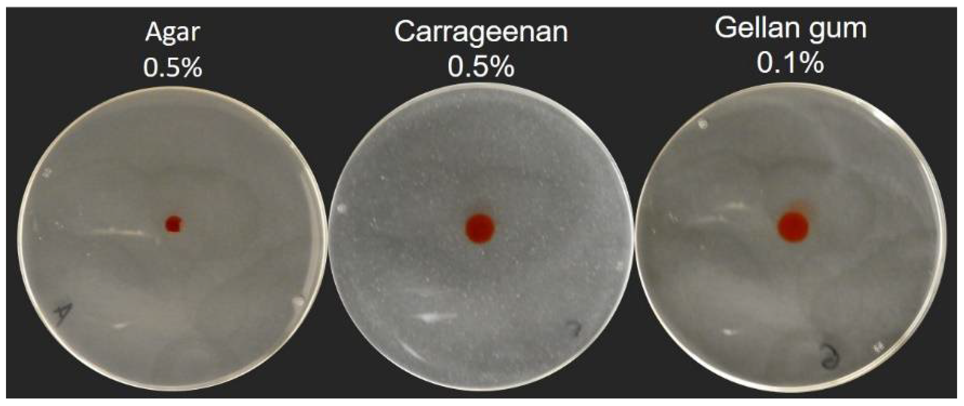 Biomolecules 11 01468 g005 Biomolecules 11 01468 g005