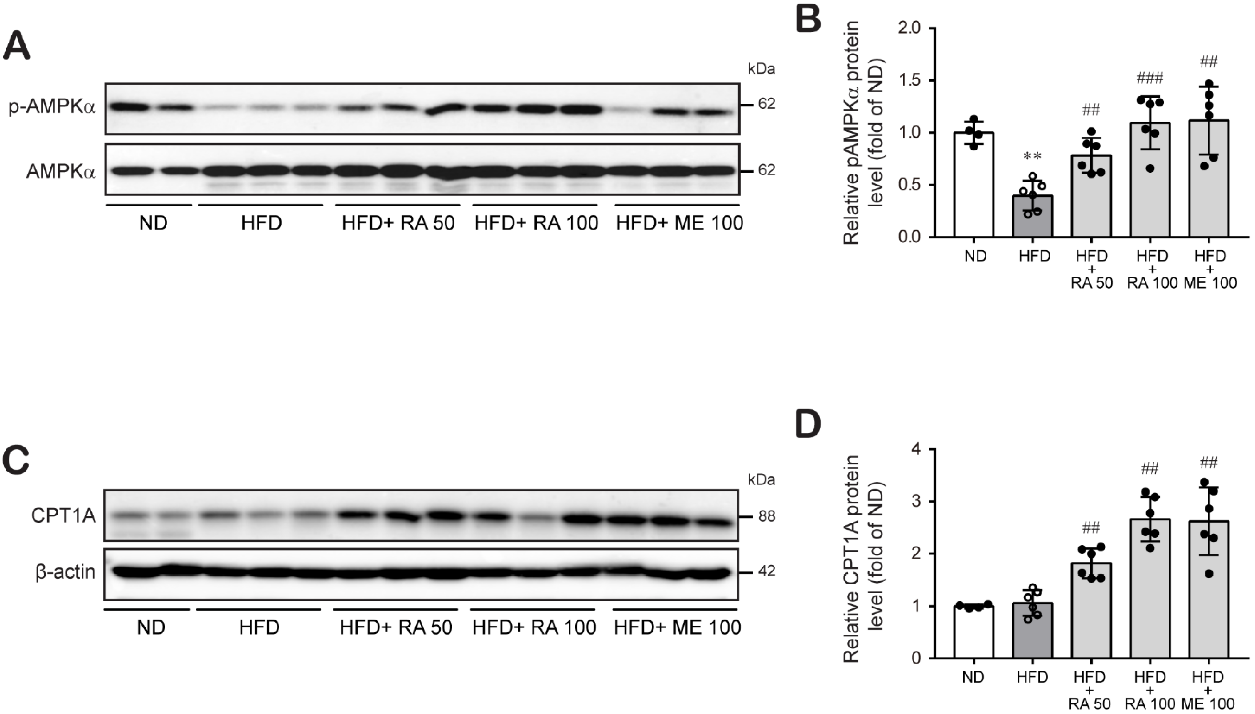 Biomolecules 11 01470 g005 Biomolecules 11 01470 g005