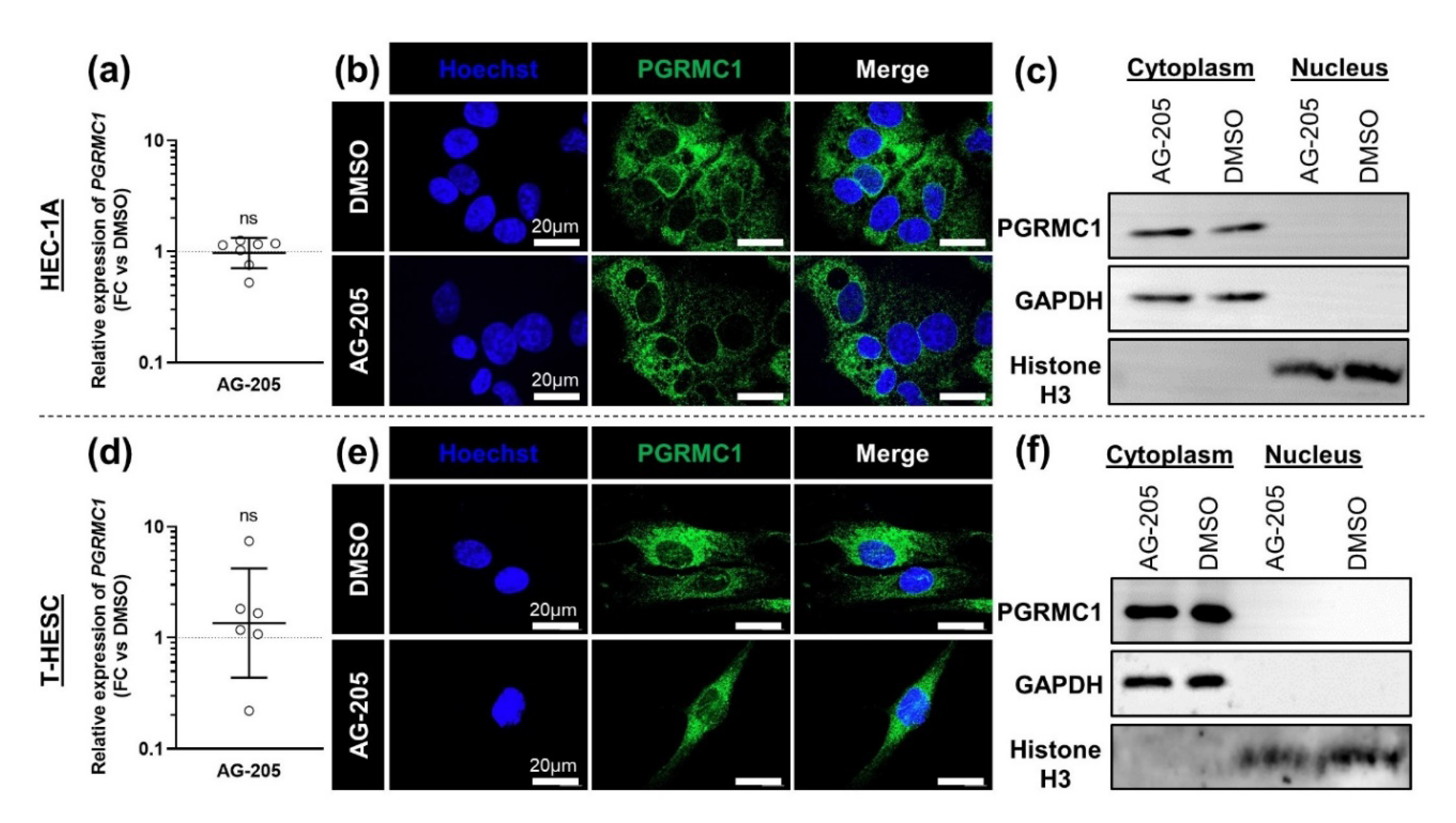 Biomolecules 11 01472 g001