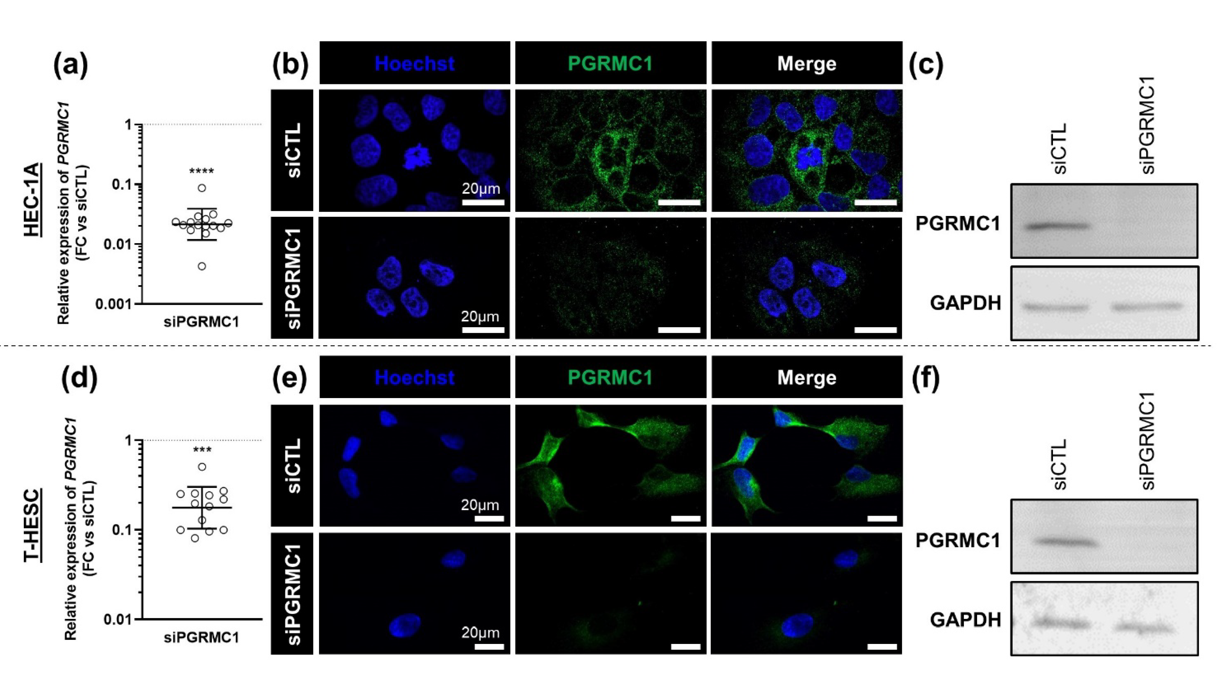 Biomolecules 11 01472 g003