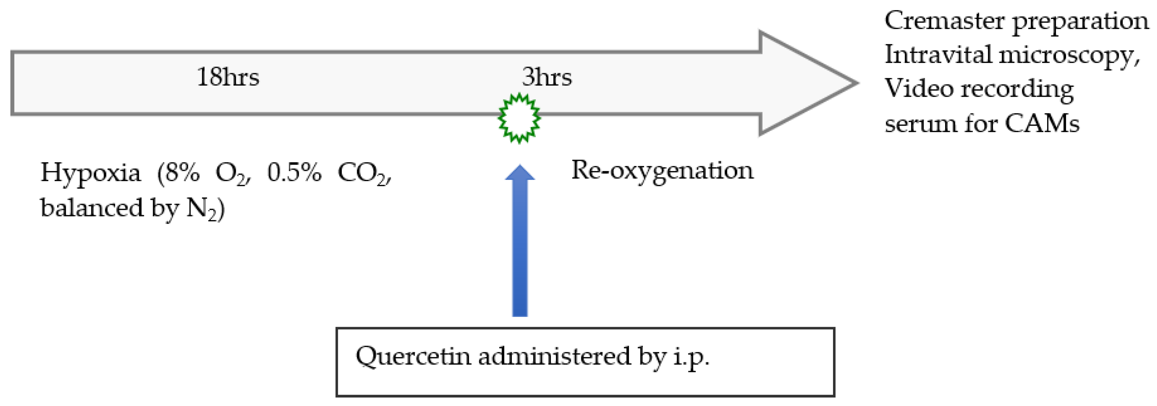 Biomolecules 11 01473 g001