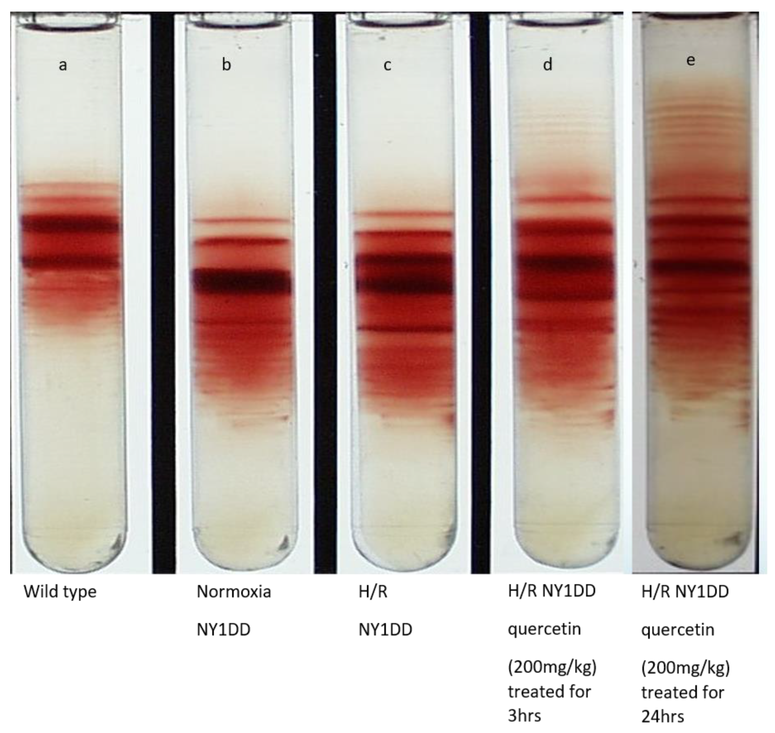 Biomolecules 11 01473 g008