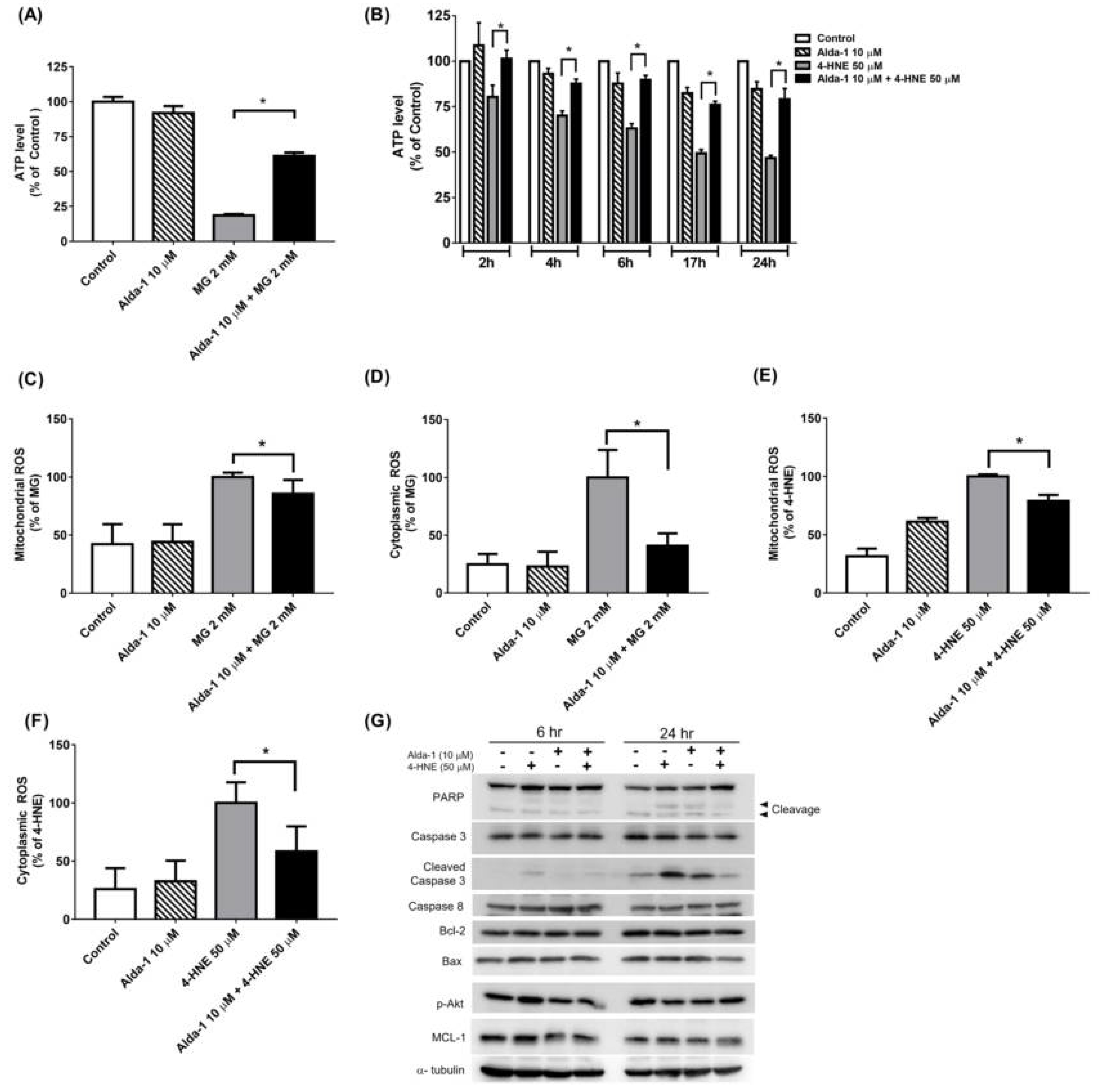 Biomolecules 11 01474 g004