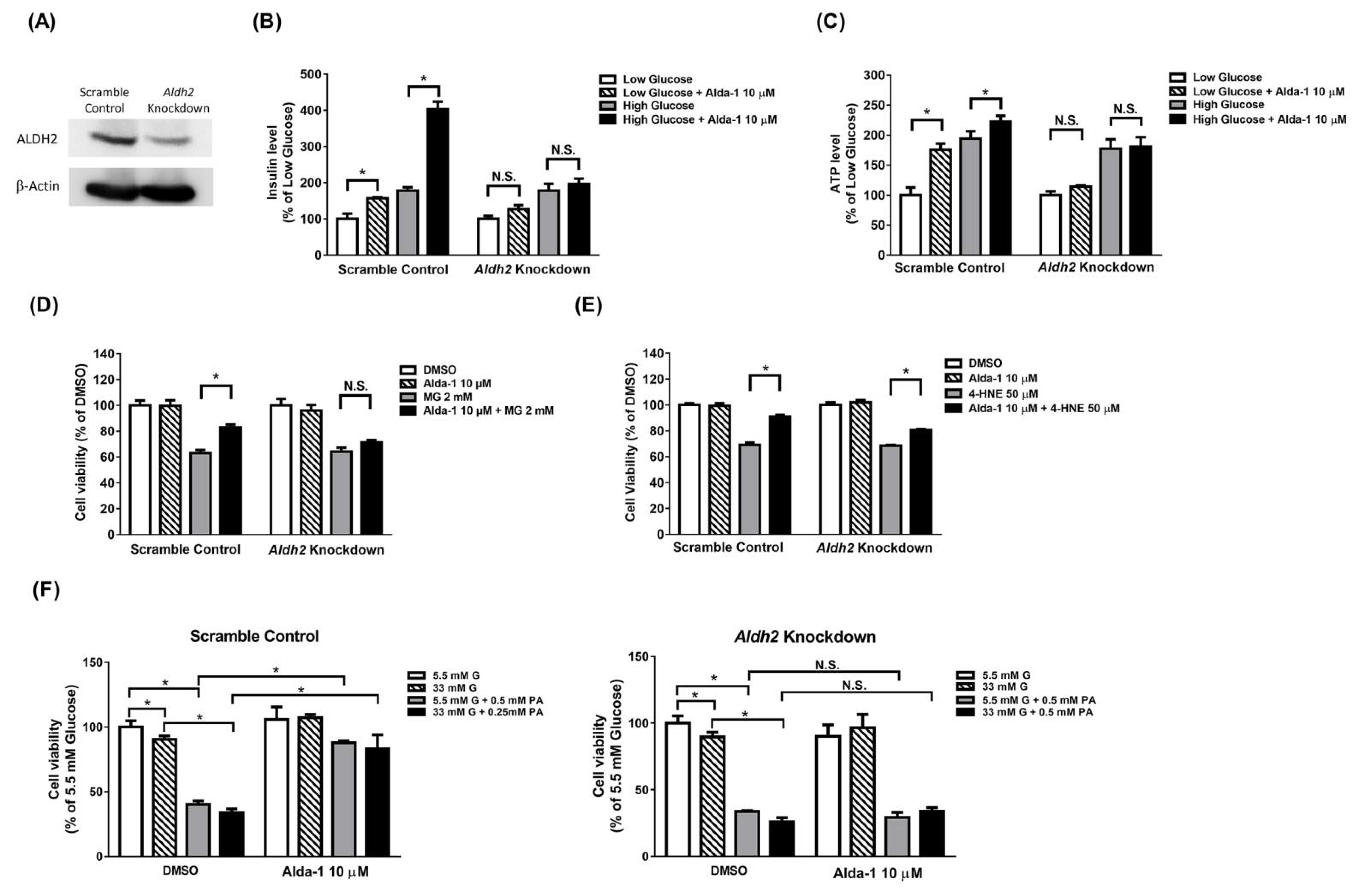 Biomolecules 11 01474 g005