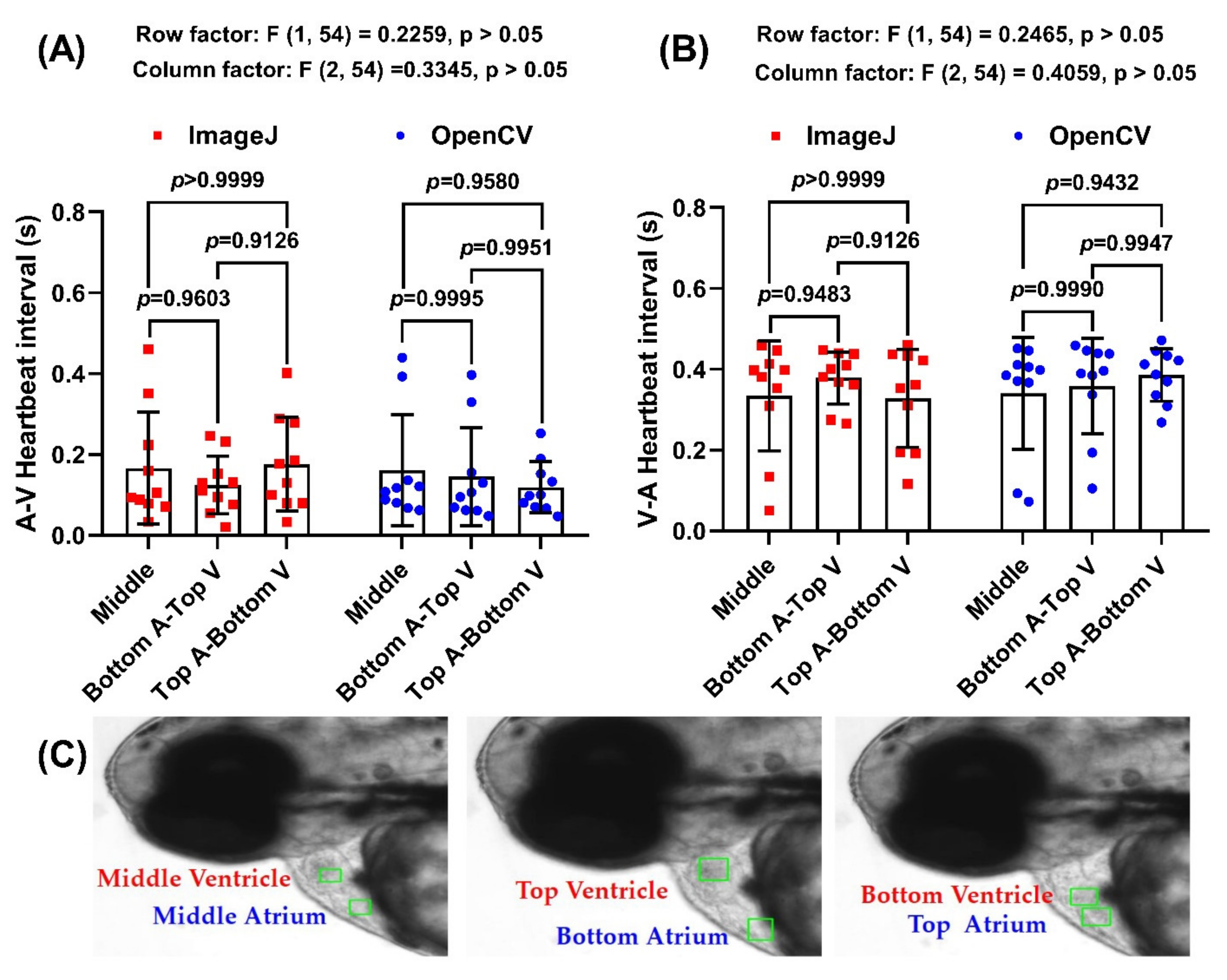 Biomolecules 11 01476 g004