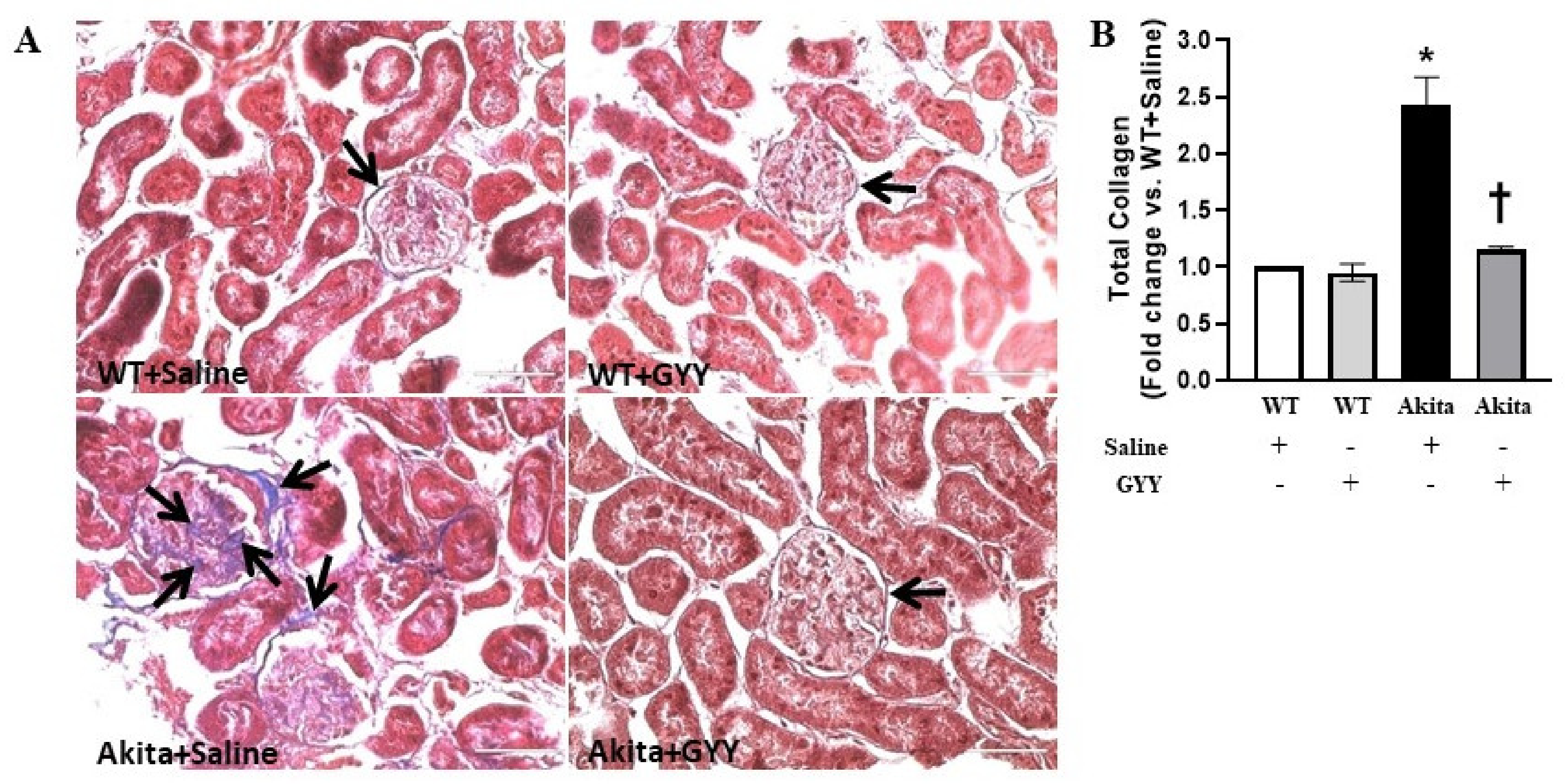 Biomolecules 11 01477 g009
