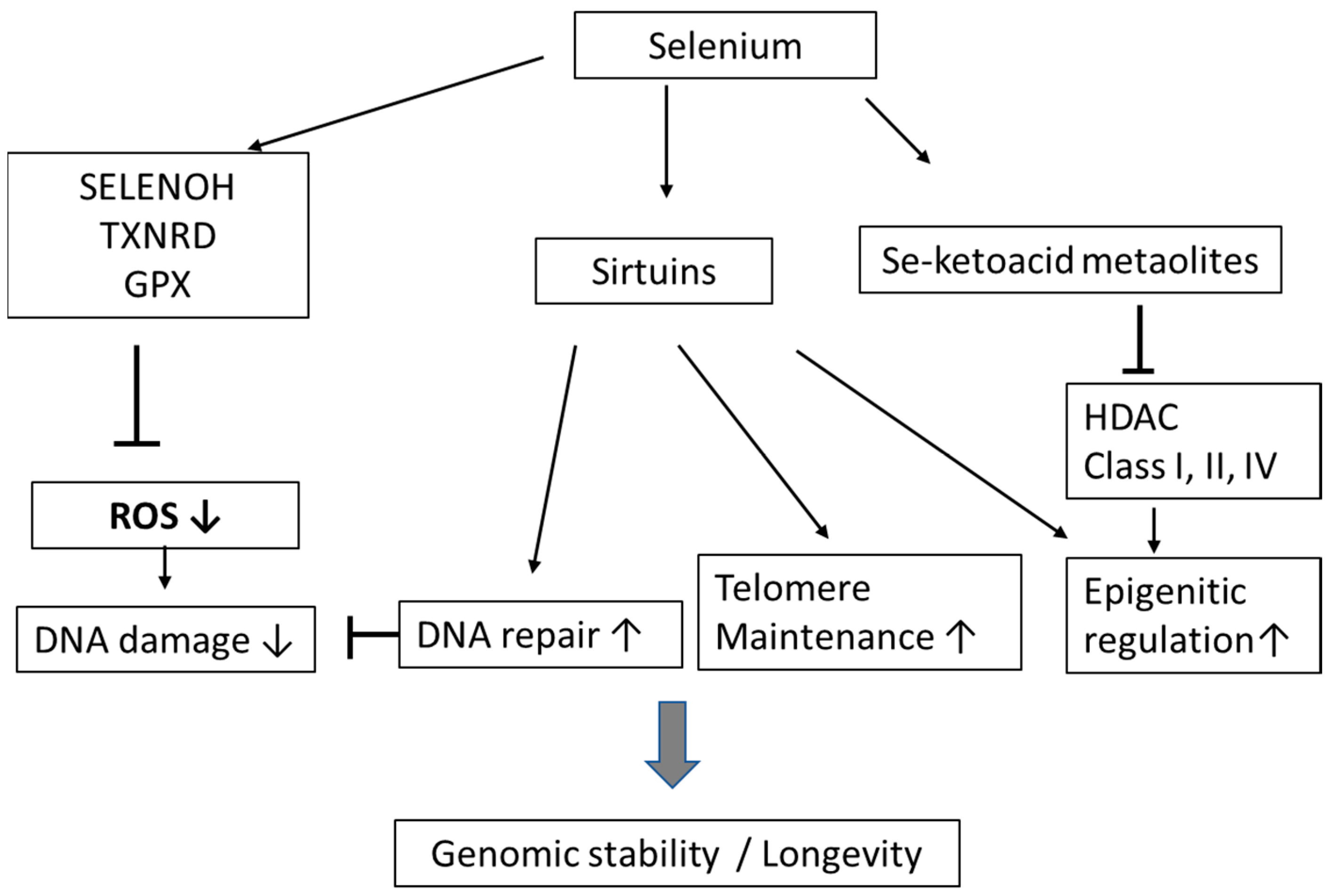 Biomolecules 11 01478 g002