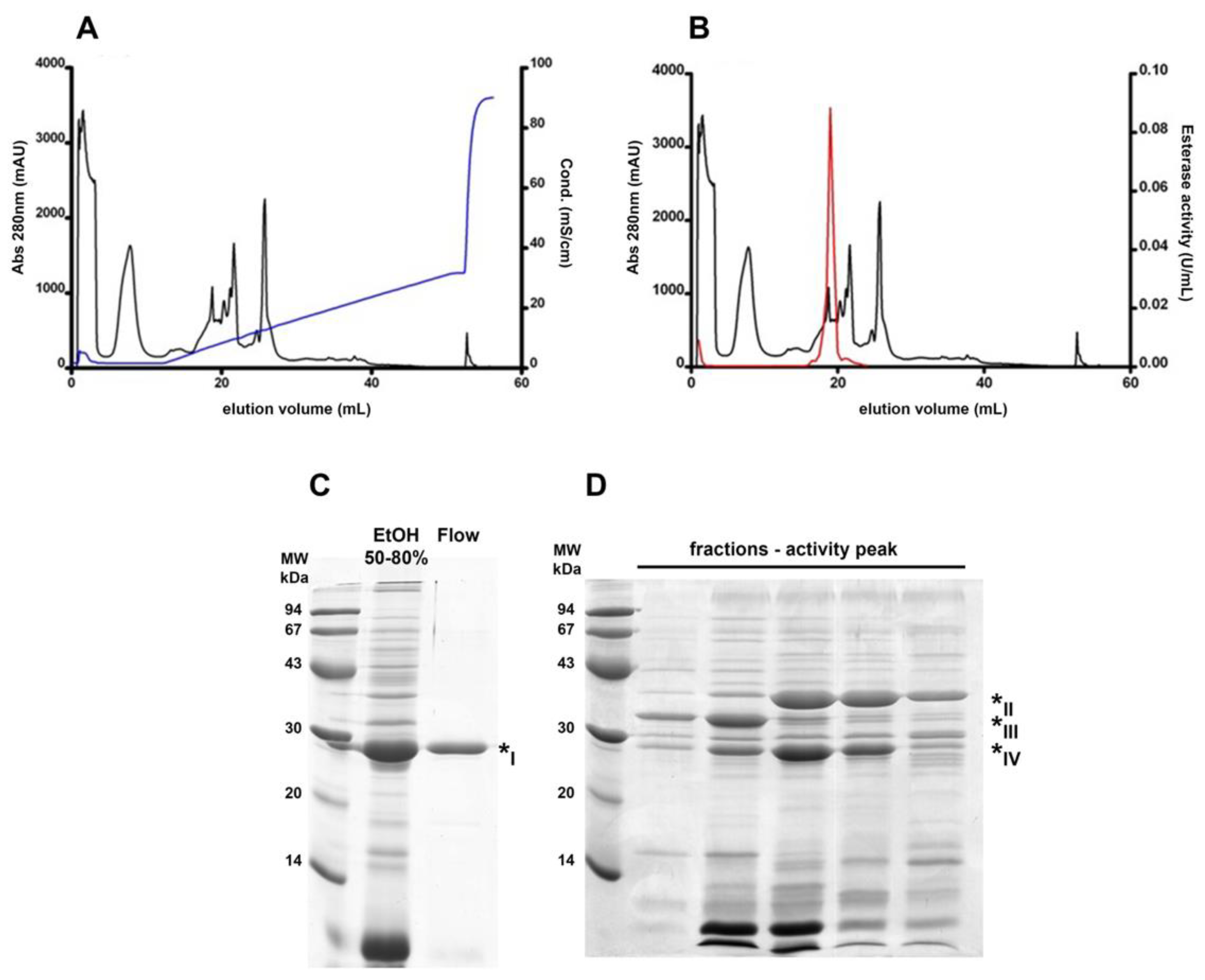 Biomolecules 11 01486 g002 Biomolecules 11 01486 g002