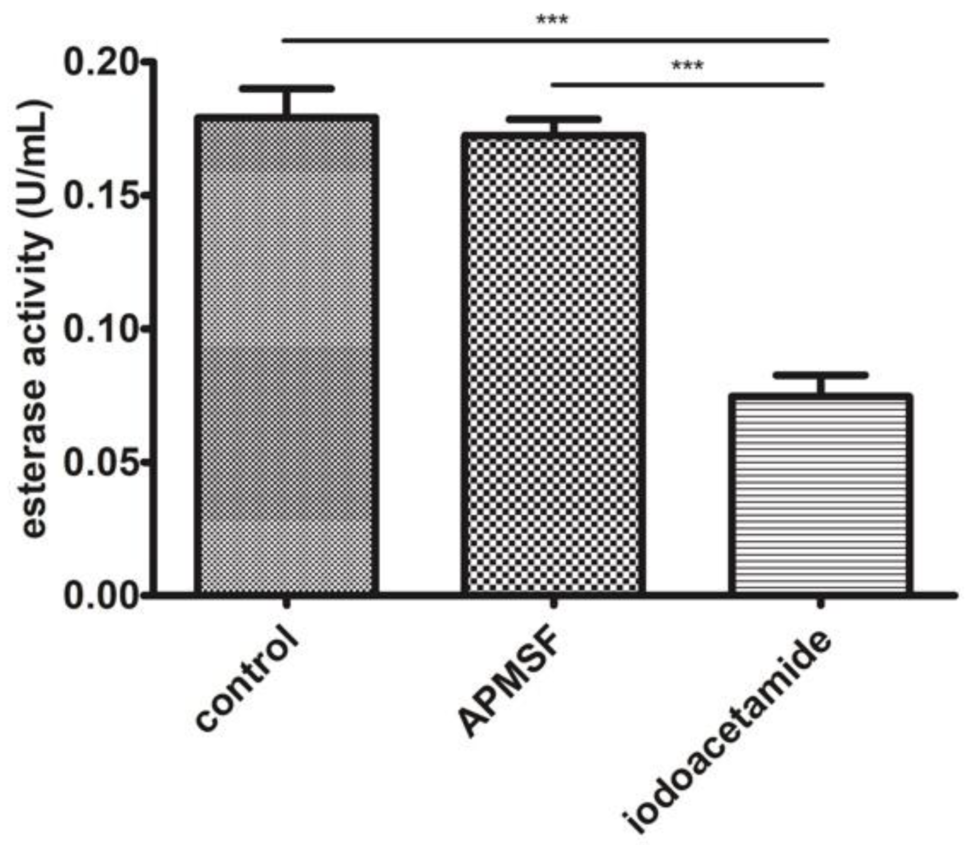 Biomolecules 11 01486 g004 Biomolecules 11 01486 g004