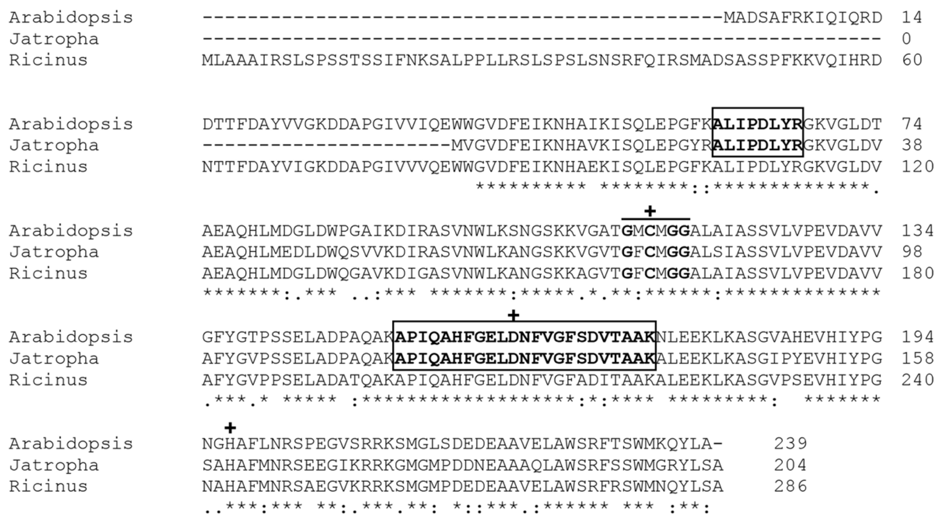 Biomolecules 11 01486 g005 Biomolecules 11 01486 g005