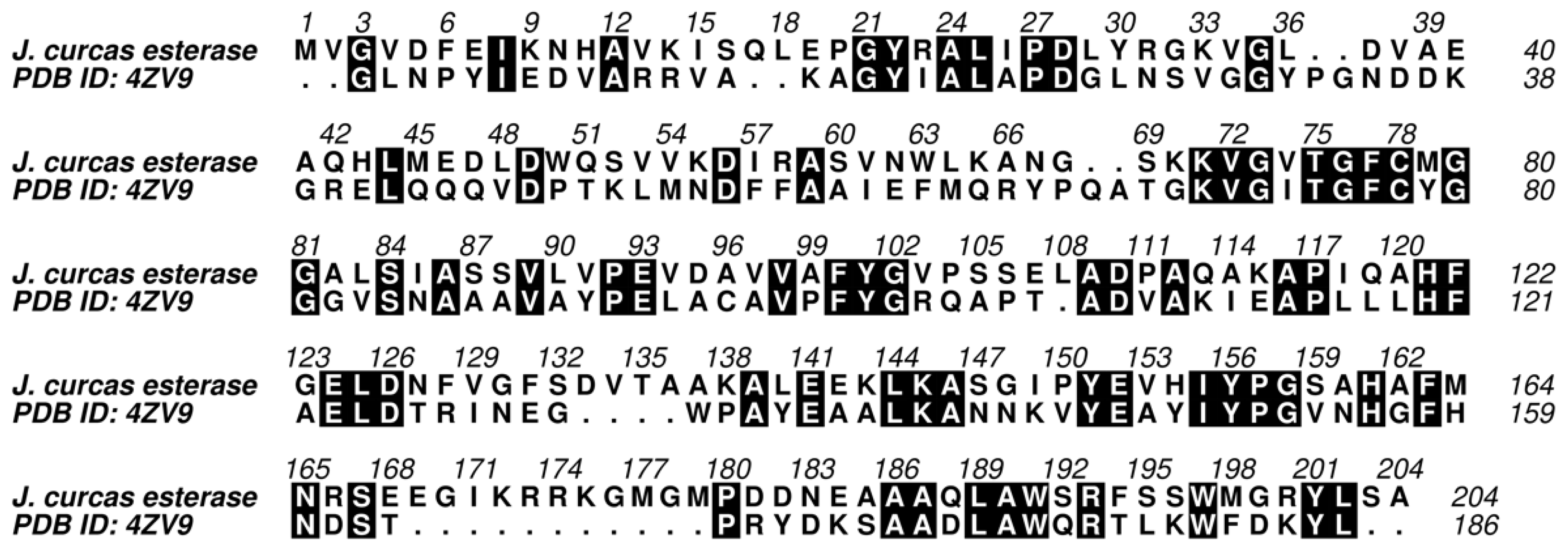Biomolecules 11 01486 g007 Biomolecules 11 01486 g007