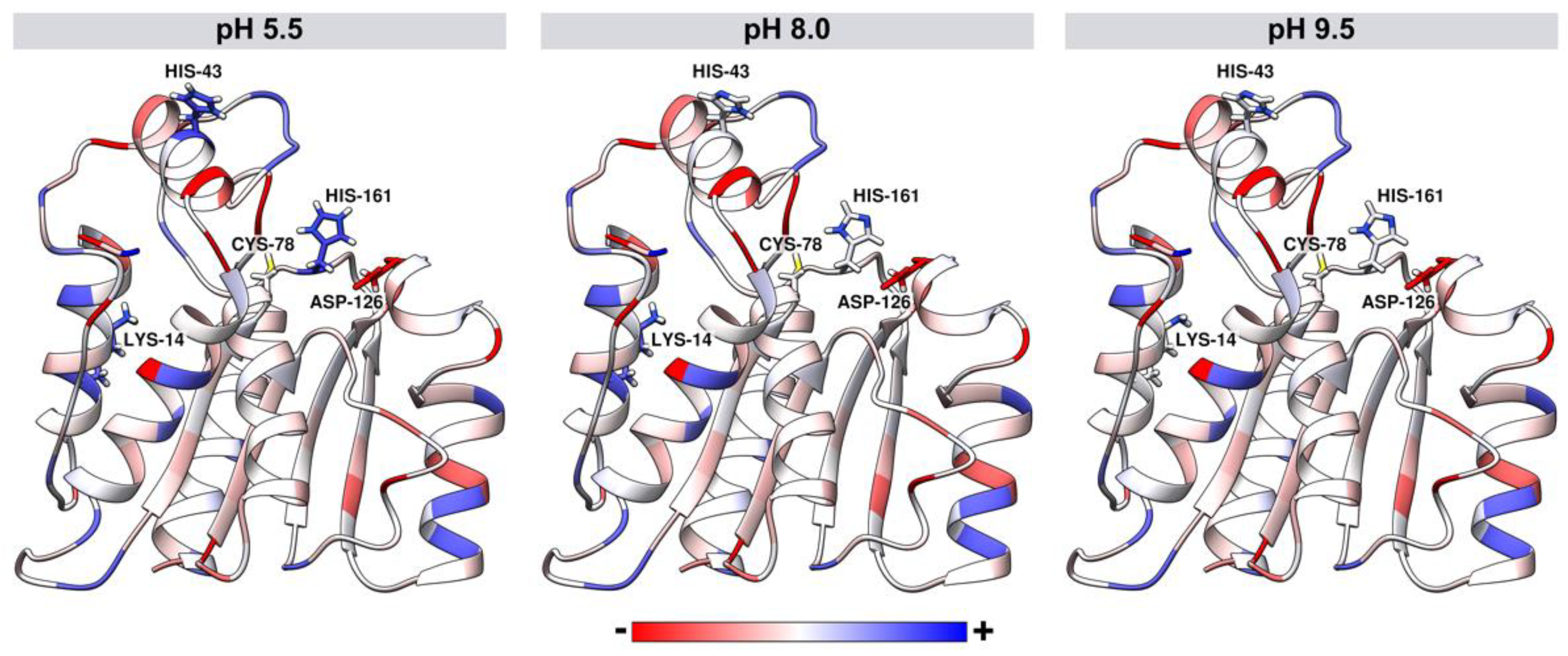 Biomolecules 11 01486 g008 Biomolecules 11 01486 g008