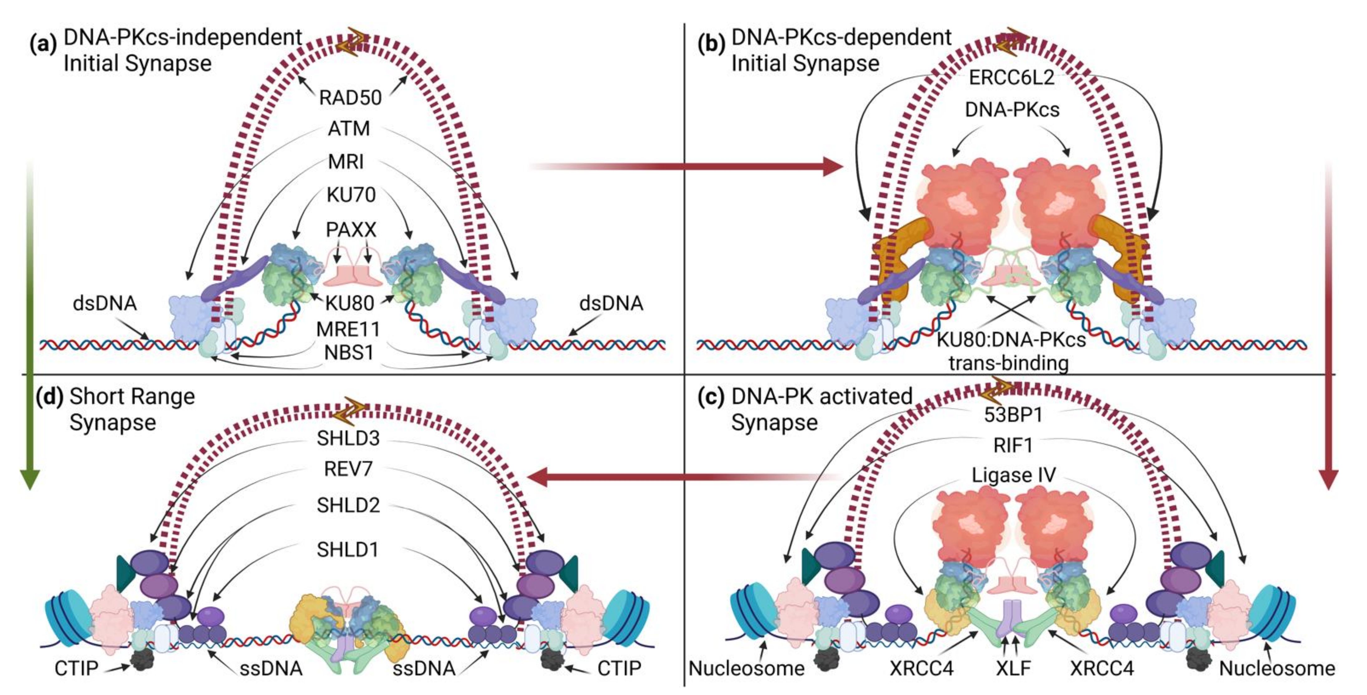 Biomolecules 11 01487 g002 550
