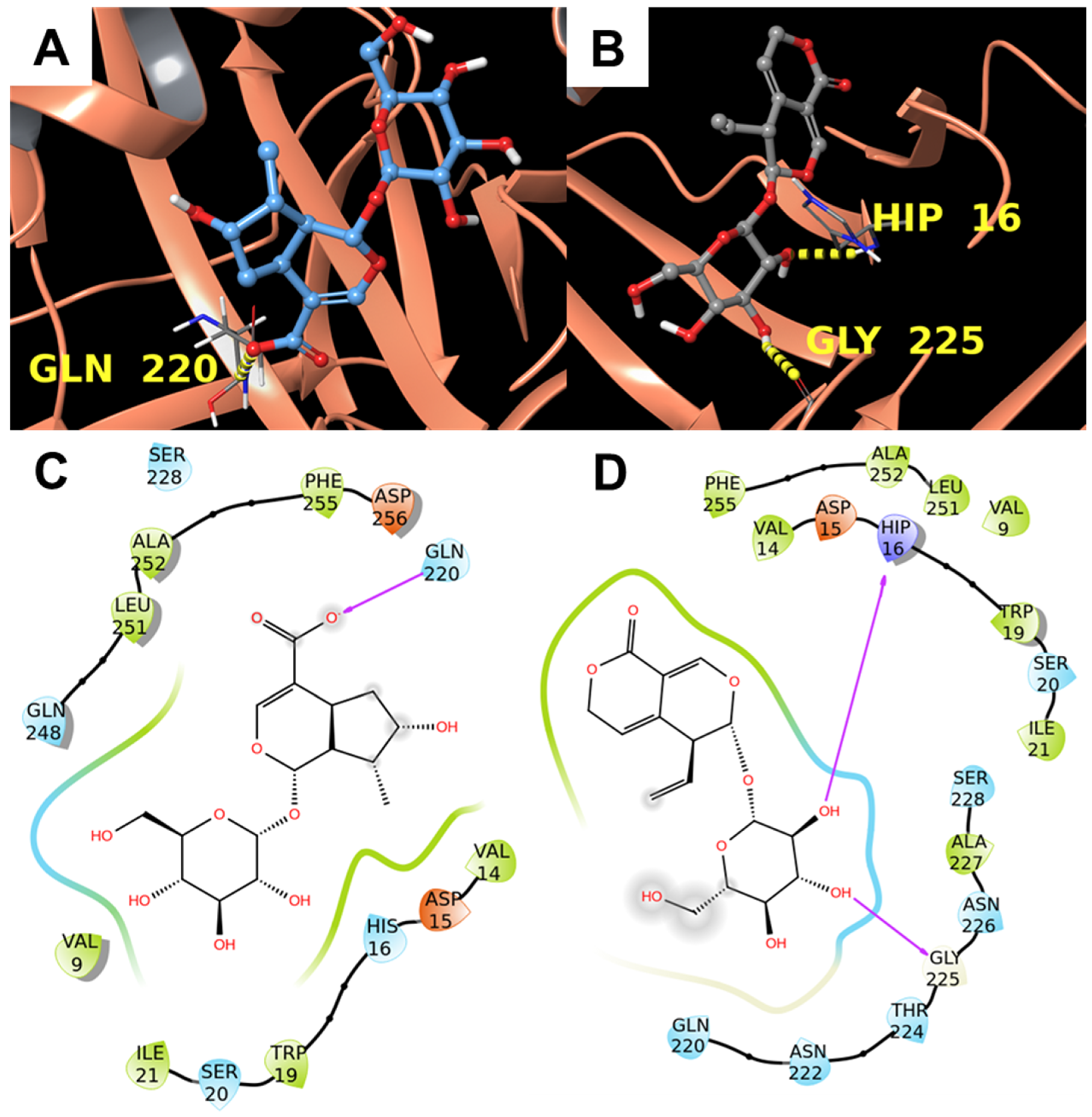 Biomolecules 11 01490 g003