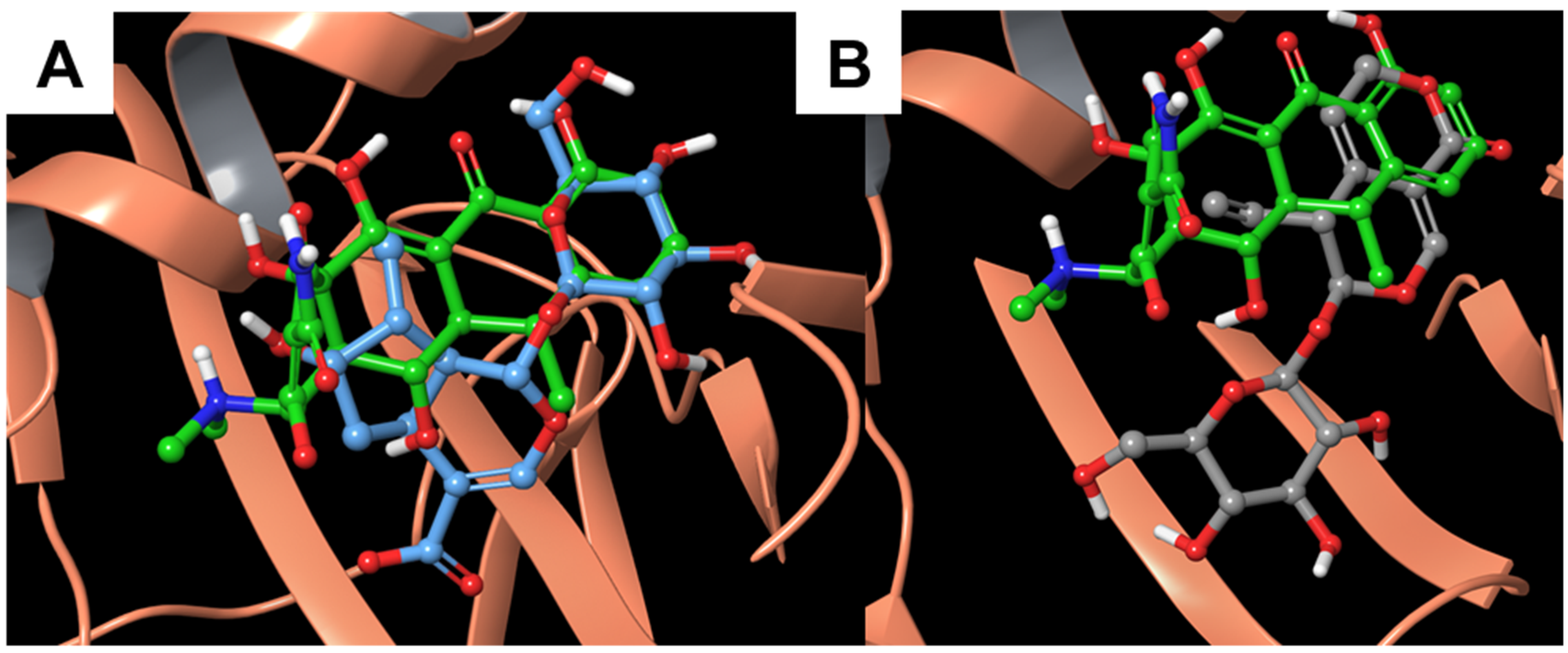 Biomolecules 11 01490 g004