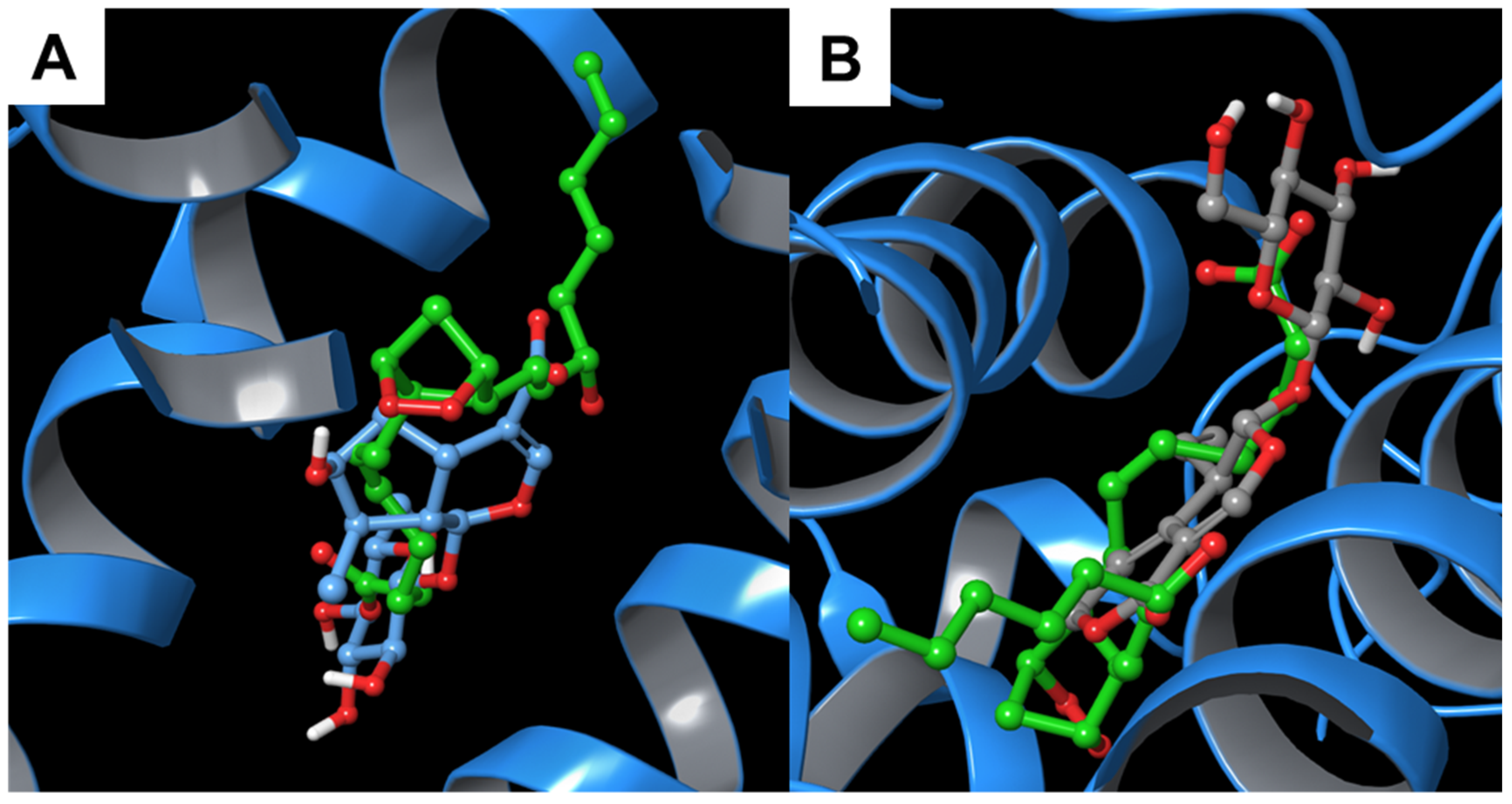 Biomolecules 11 01490 g006