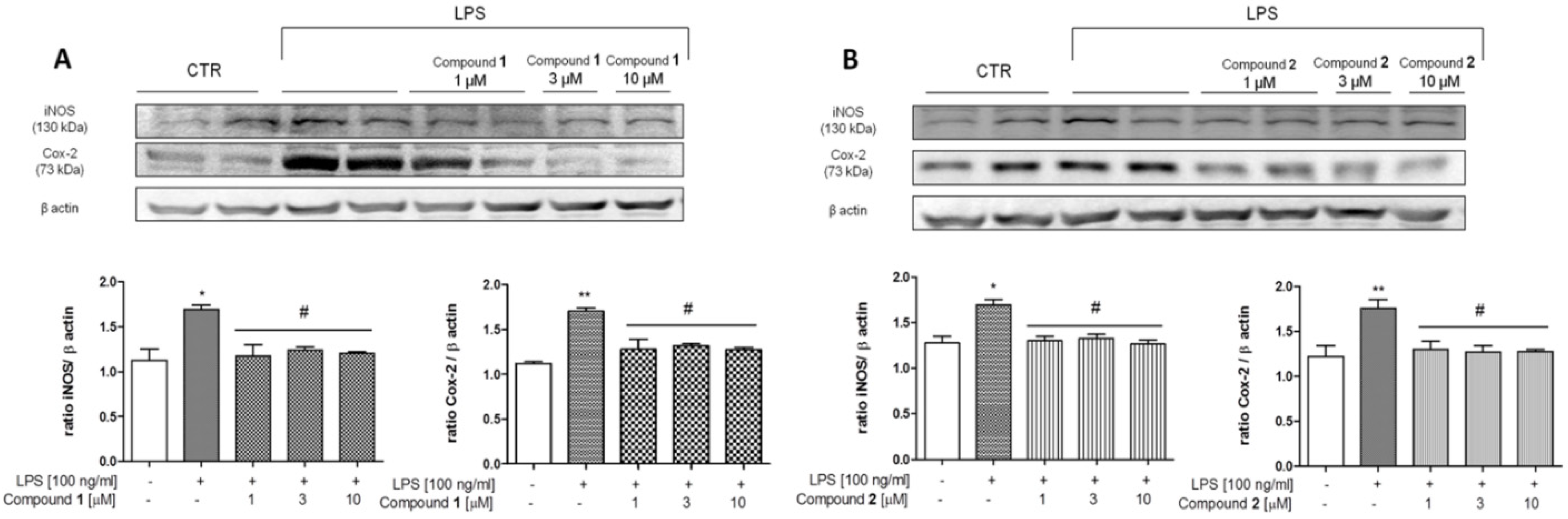 Biomolecules 11 01490 g010