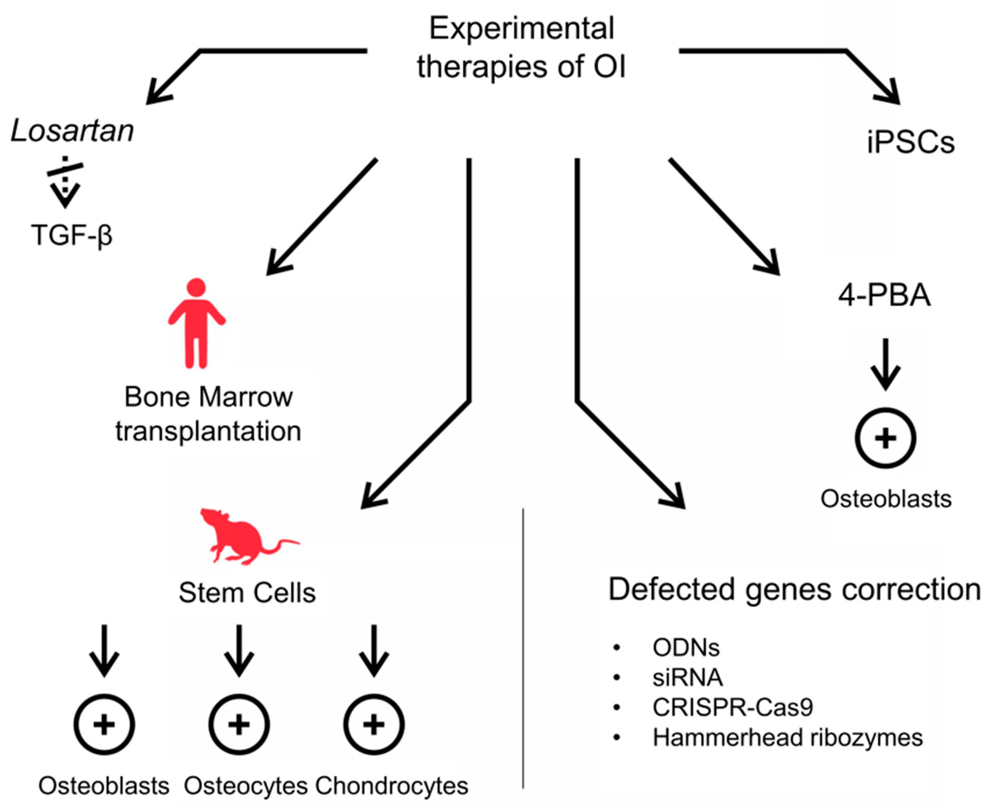 Biomolecules 11 01493 g003 550