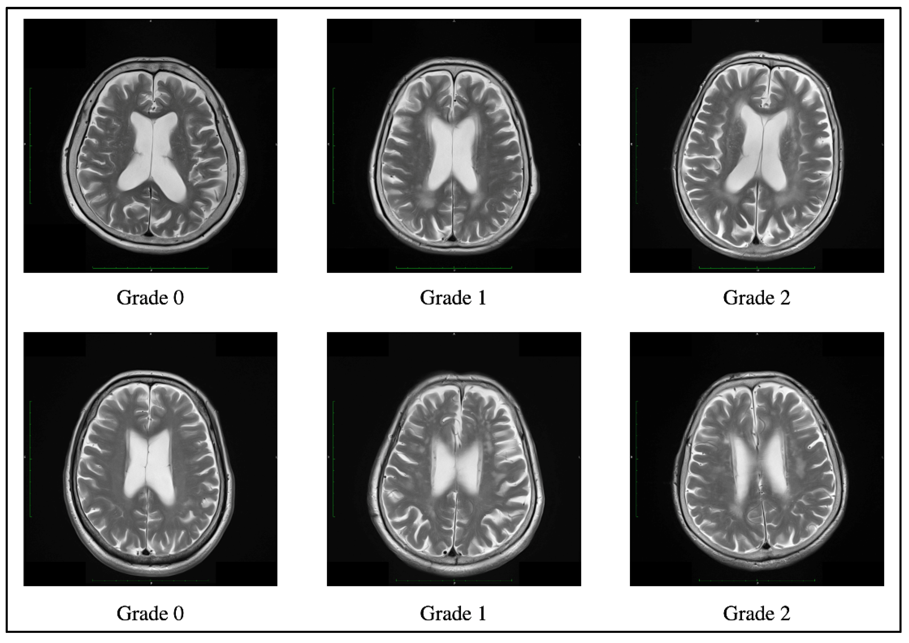 Biomolecules 11 01496 g001