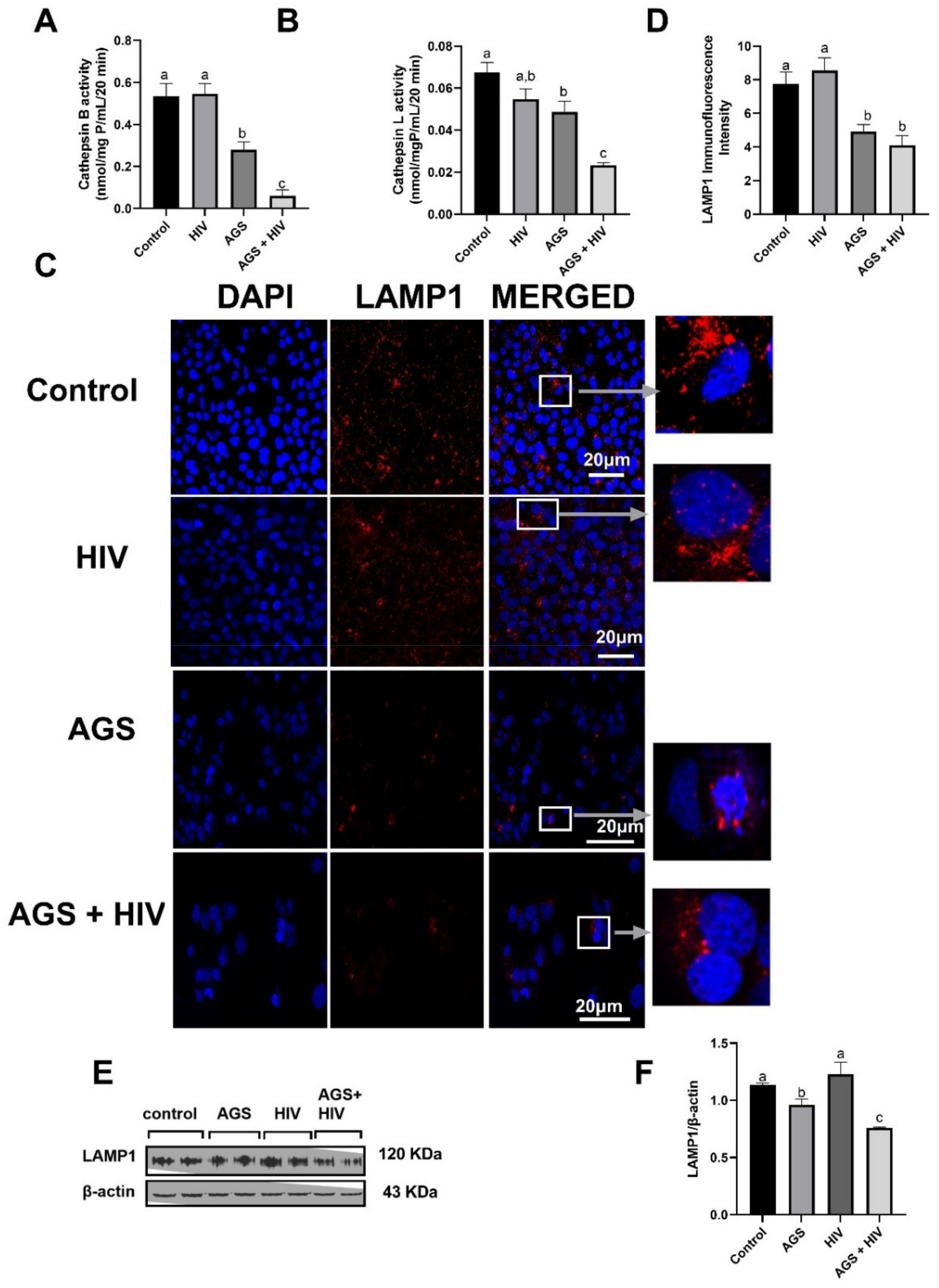 Biomolecules 11 01497 g001 550
