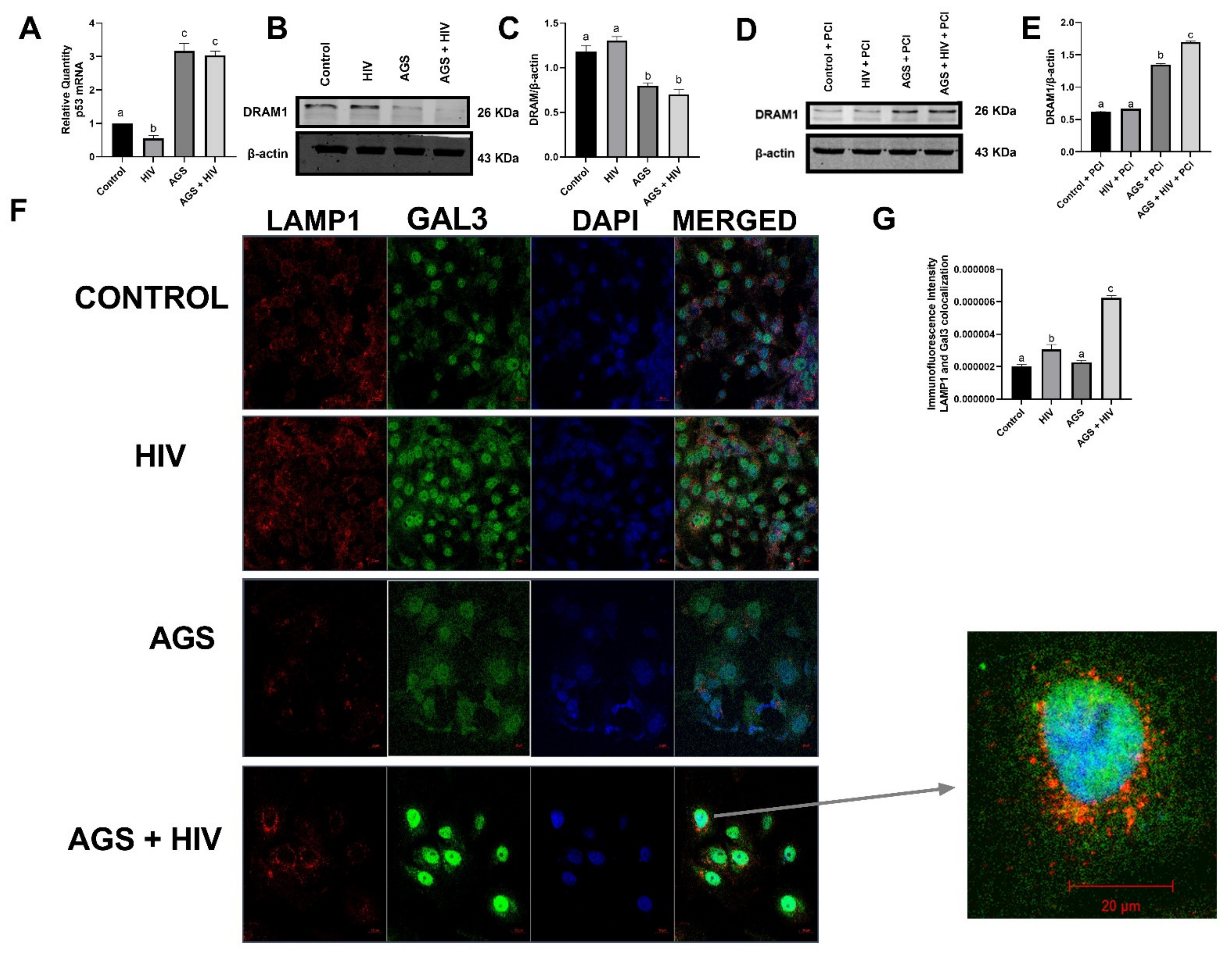 Biomolecules 11 01497 g002 550