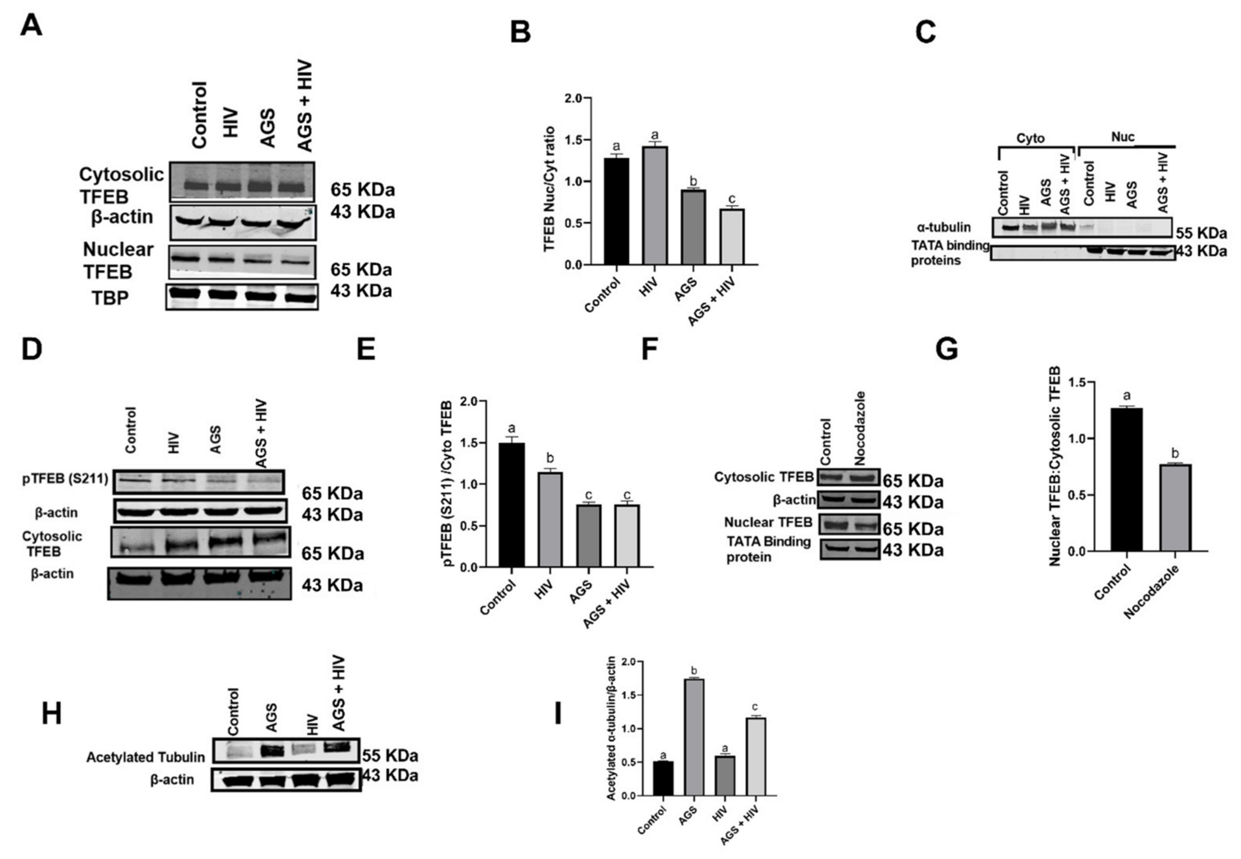 Biomolecules 11 01497 g005 550