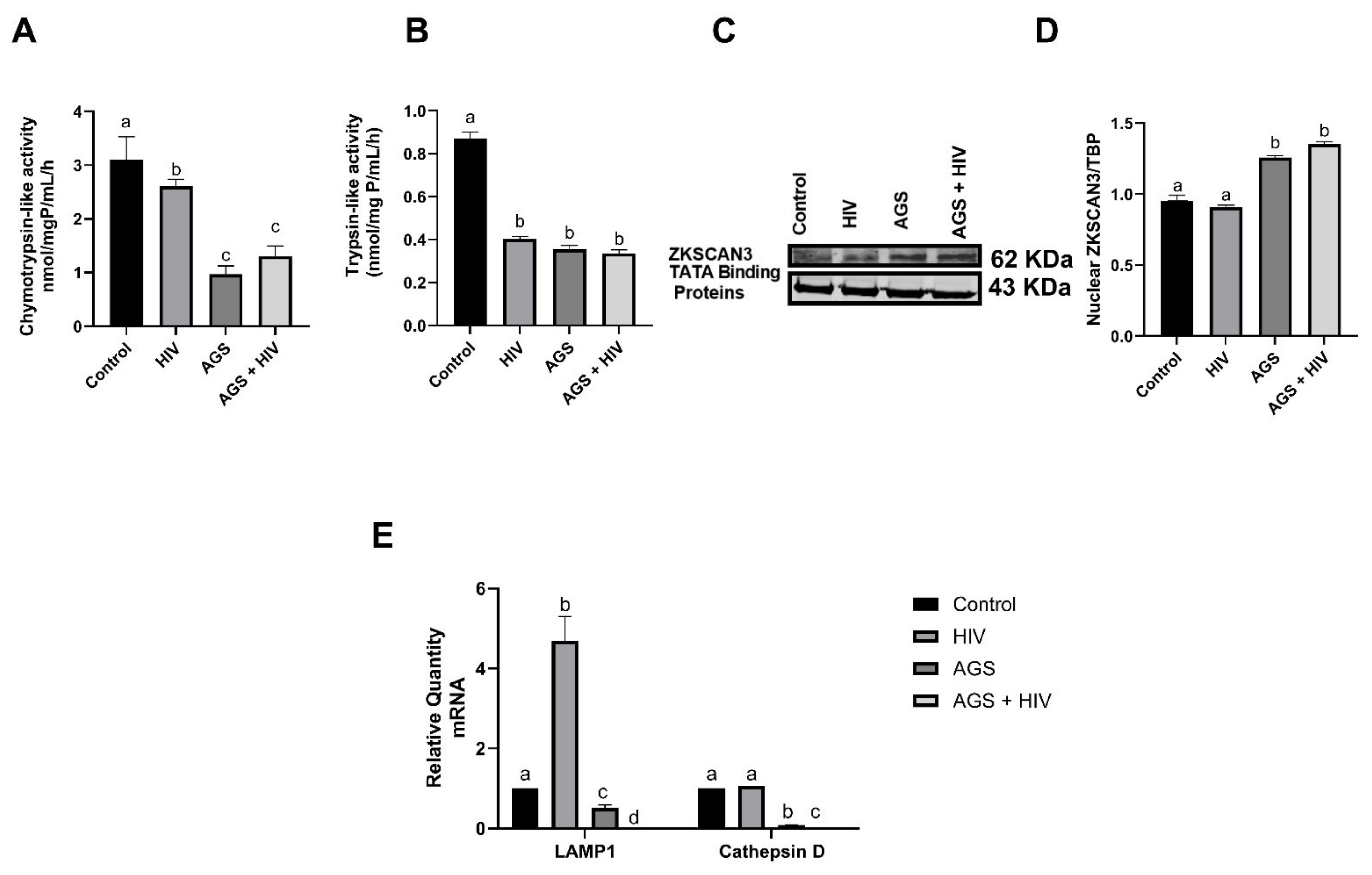 Biomolecules 11 01497 g006 550