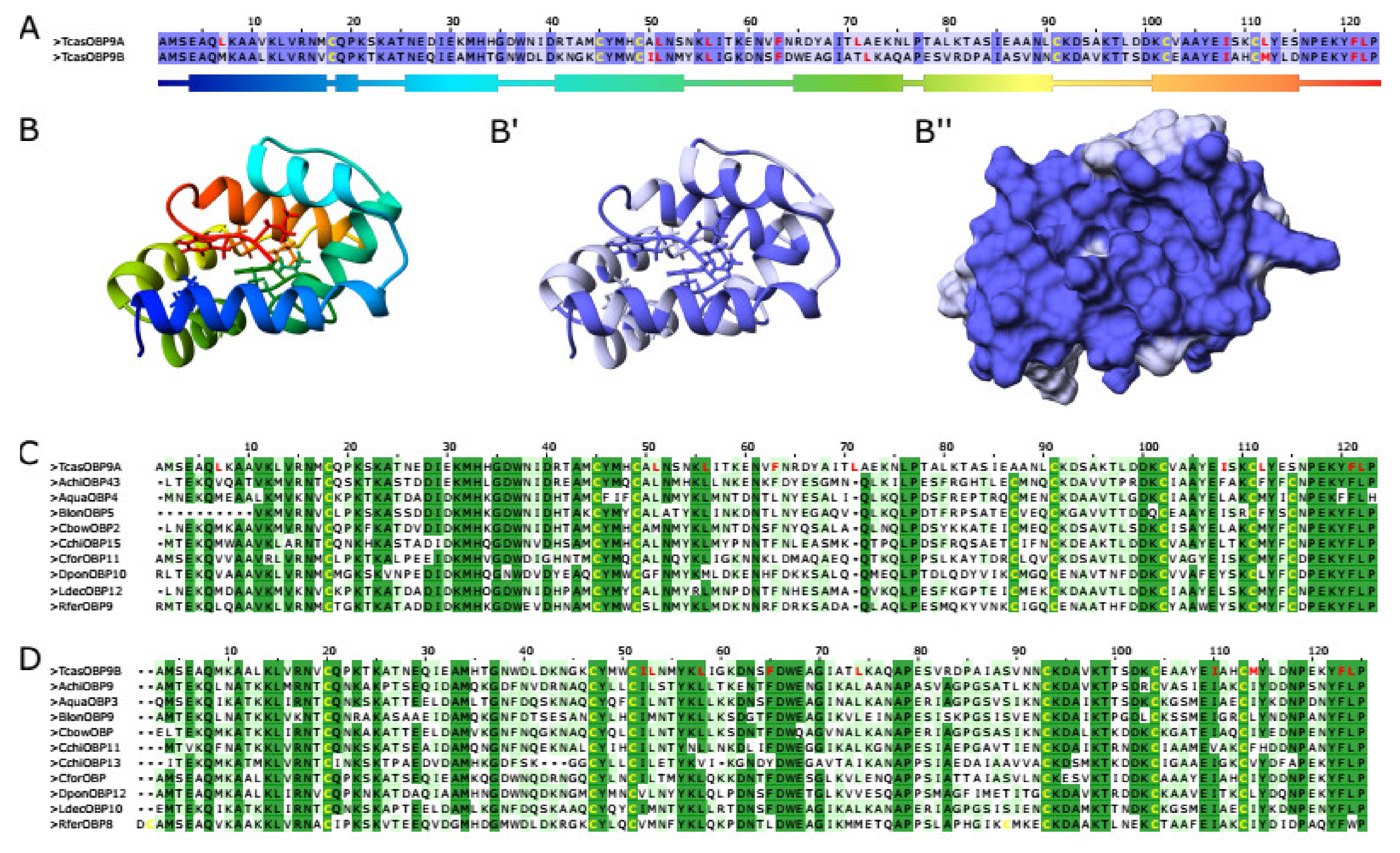 Biomolecules 11 01502 g004 Biomolecules 11 01502 g004