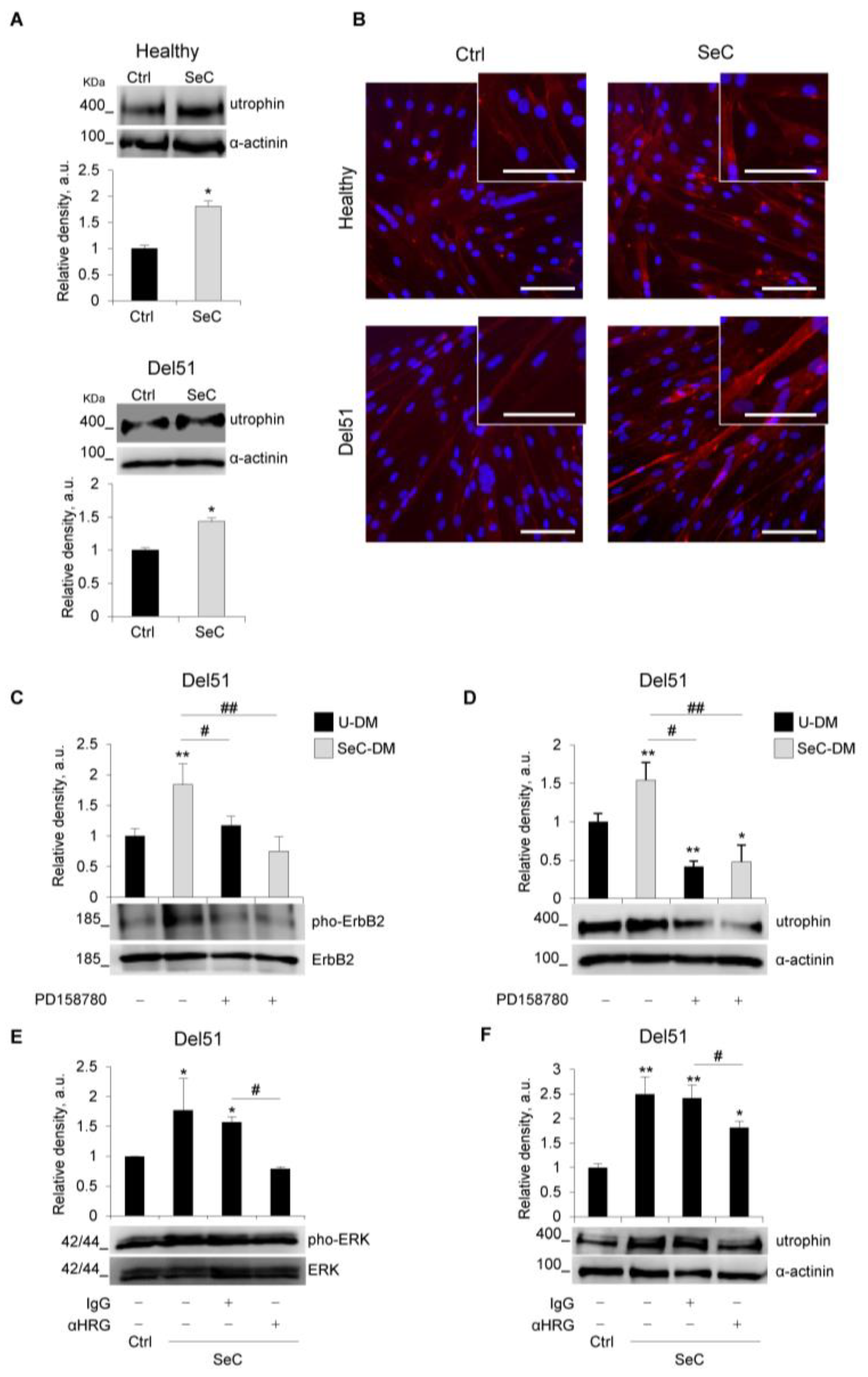 Biomolecules 11 01504 g007