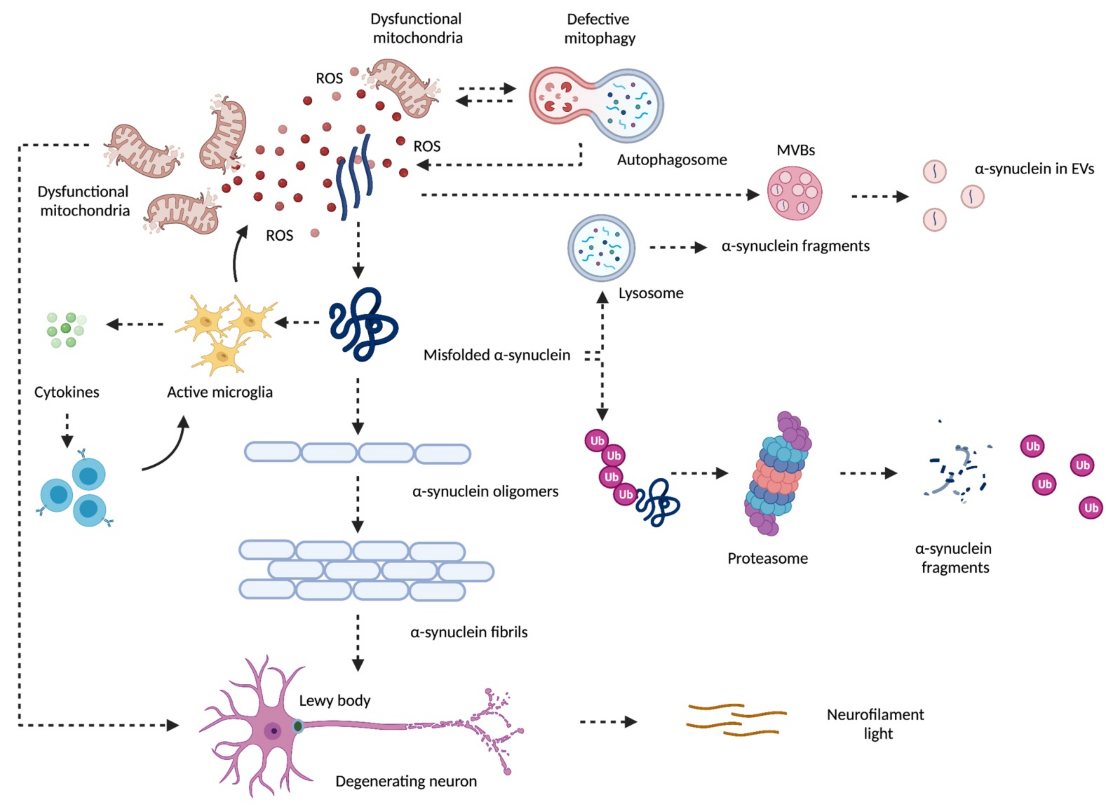 Biomolecules 11 01508 g001 550