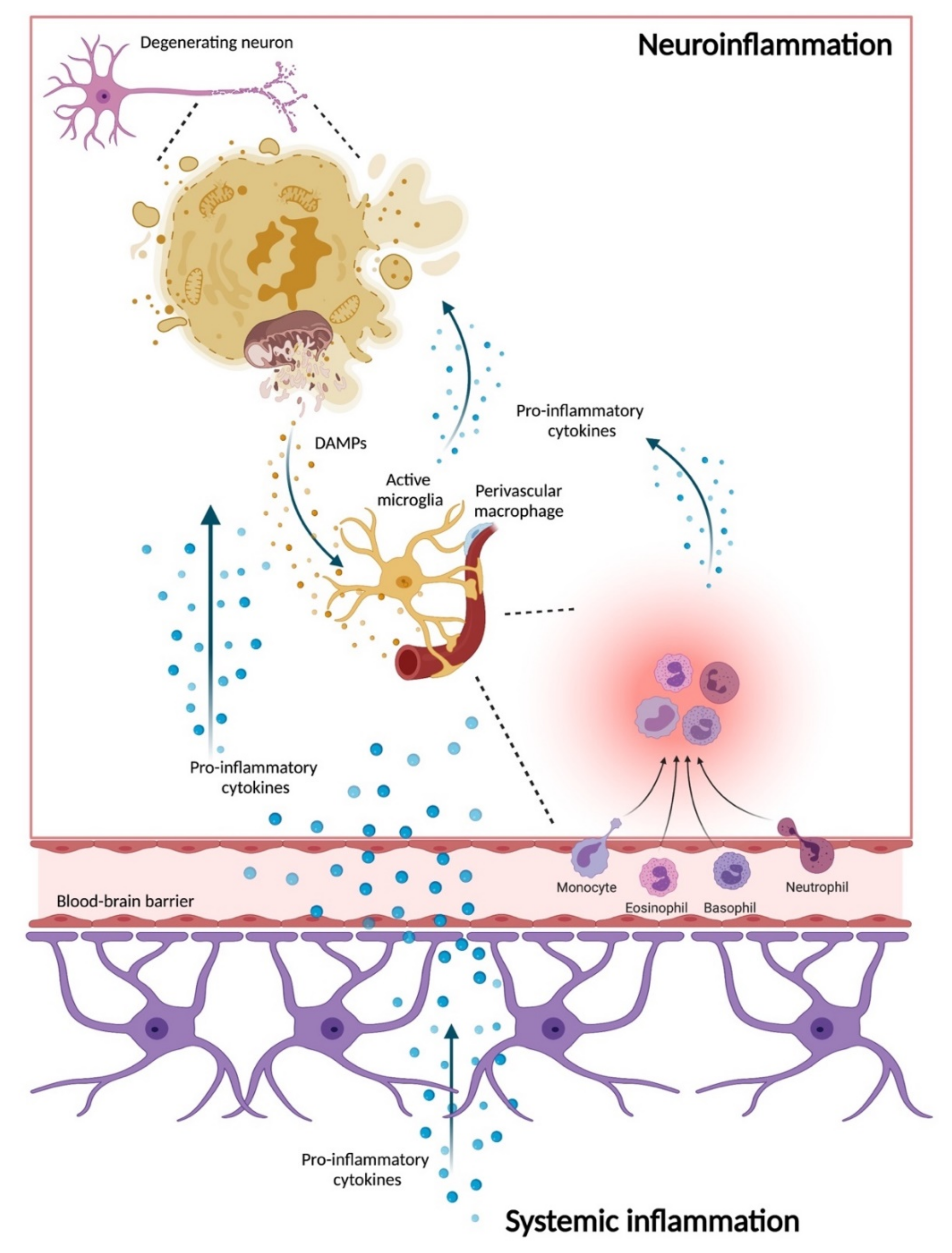 Biomolecules 11 01508 g002 550