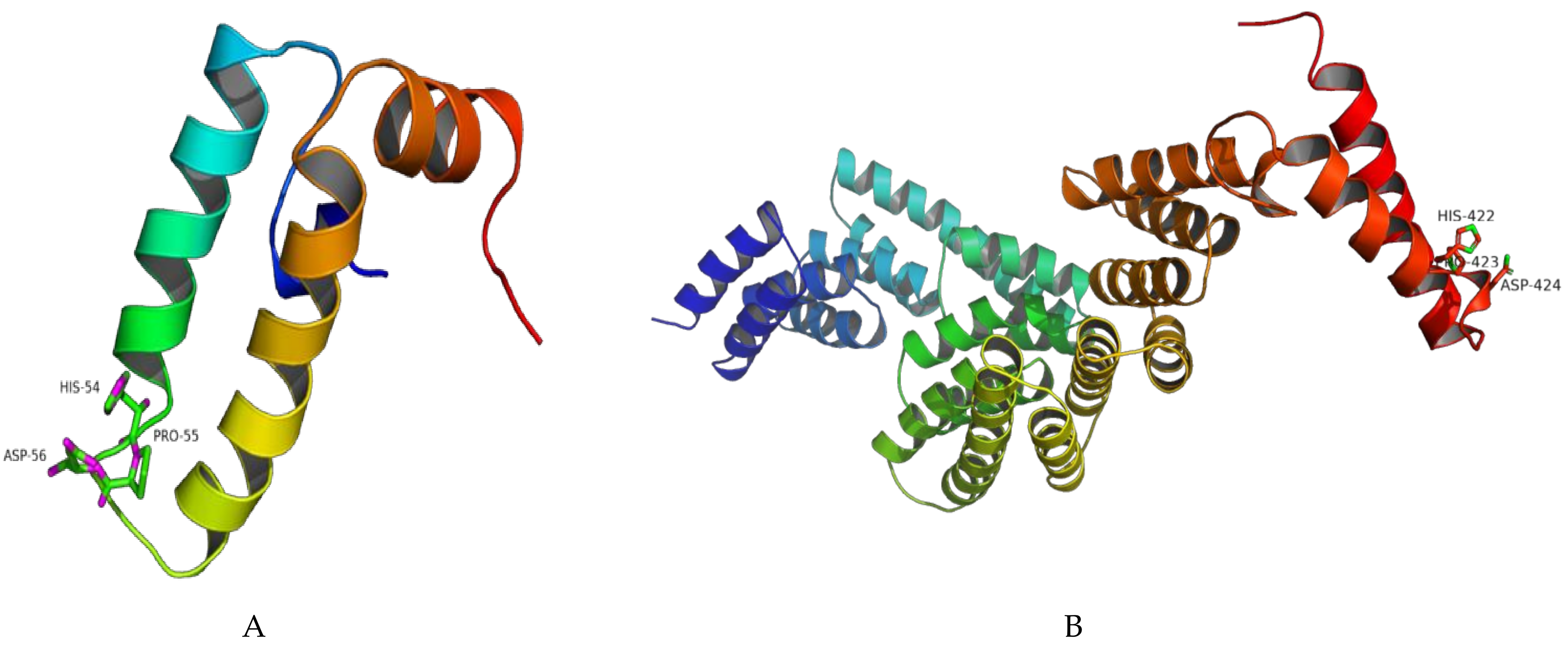 Biomolecules 11 01509 g003 Biomolecules 11 01509 g003