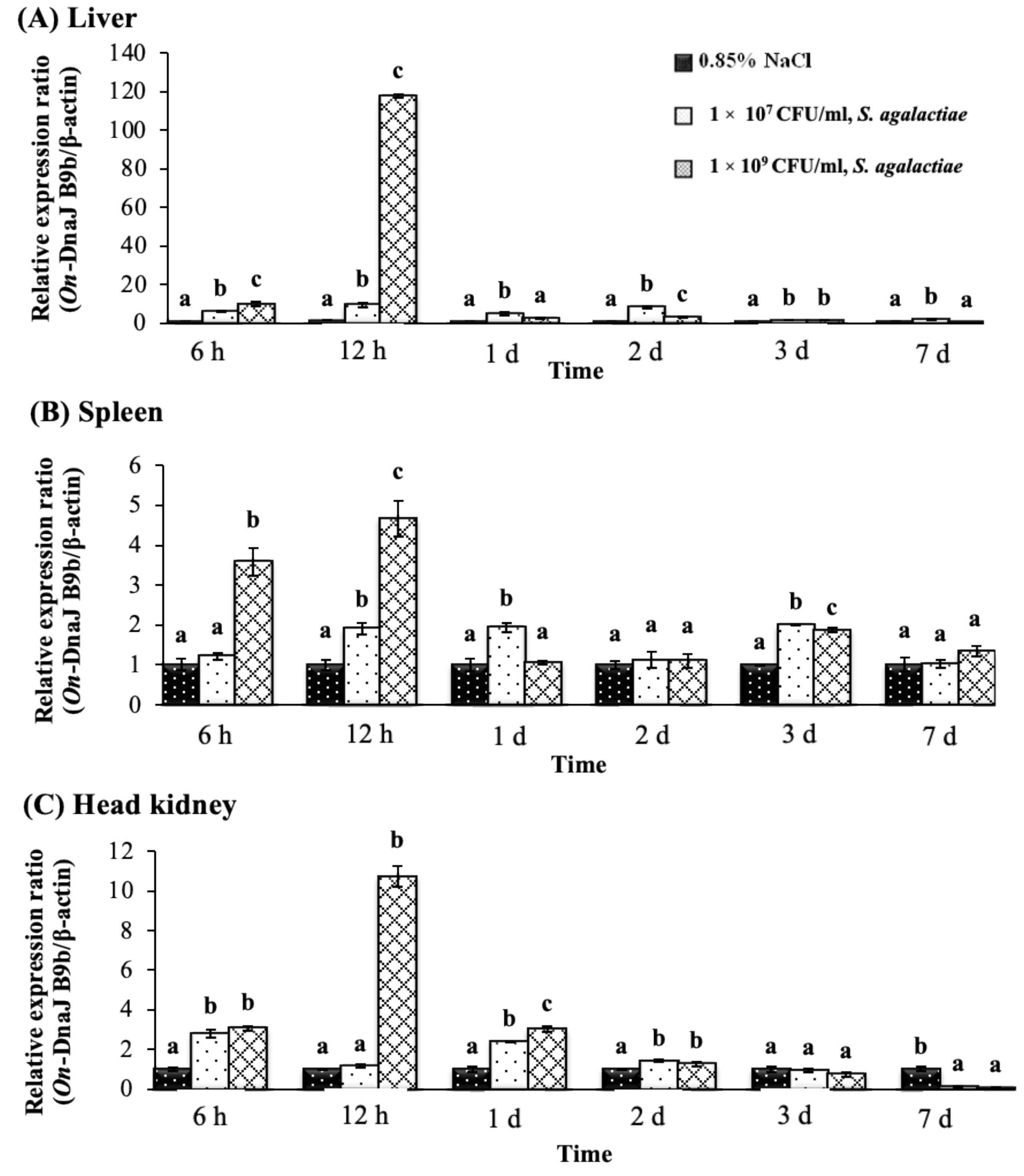 Biomolecules 11 01509 g006 Biomolecules 11 01509 g006