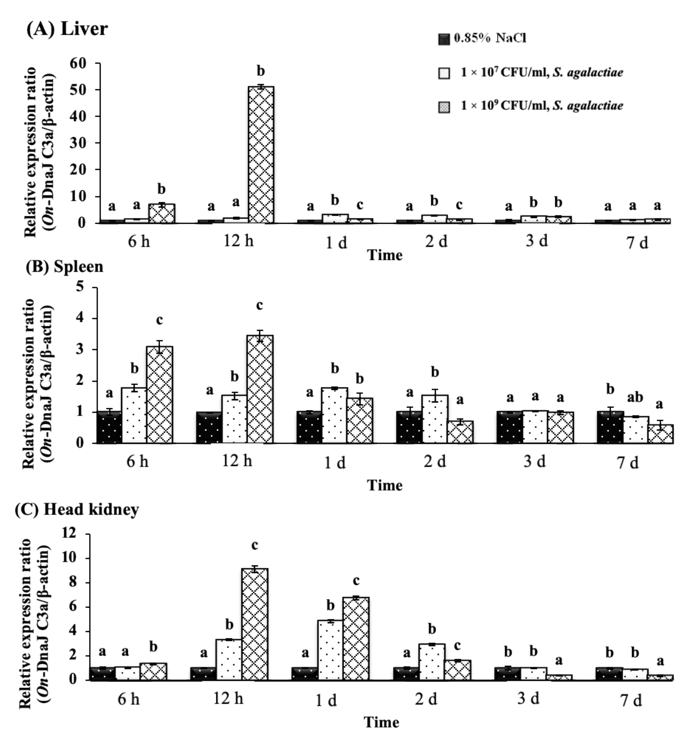 Biomolecules 11 01509 g008 Biomolecules 11 01509 g008