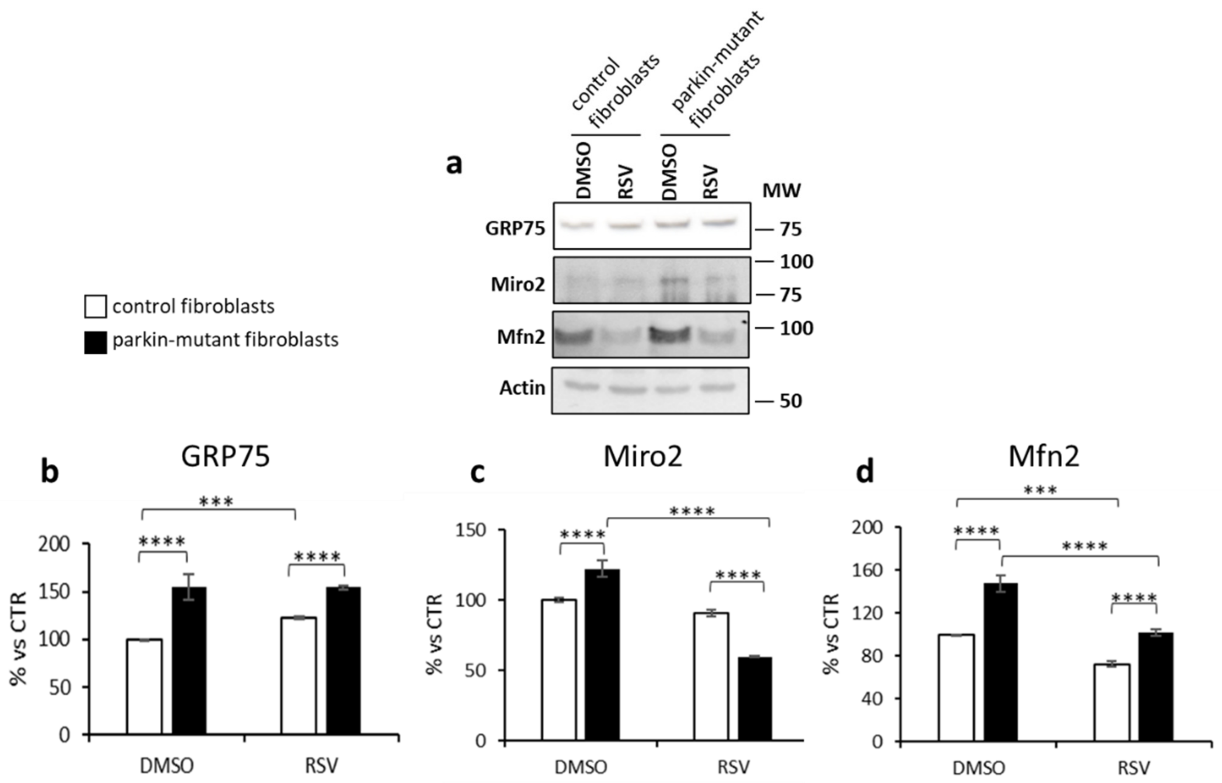 Biomolecules 11 01511 g009 Biomolecules 11 01511 g009