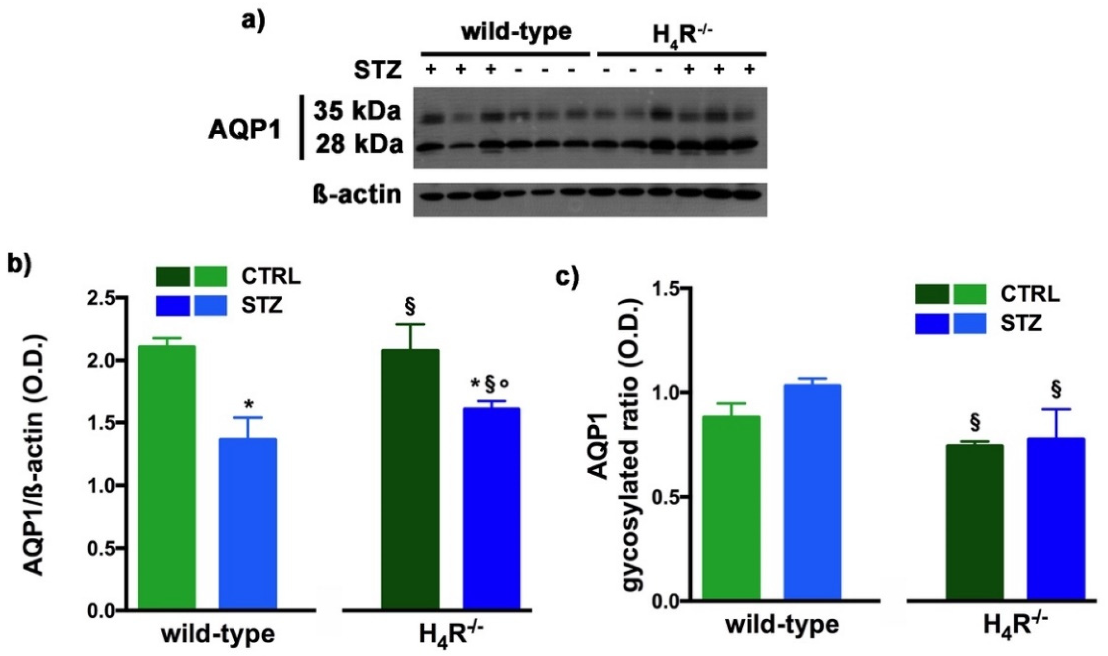Biomolecules 11 01517 g008 Biomolecules 11 01517 g008
