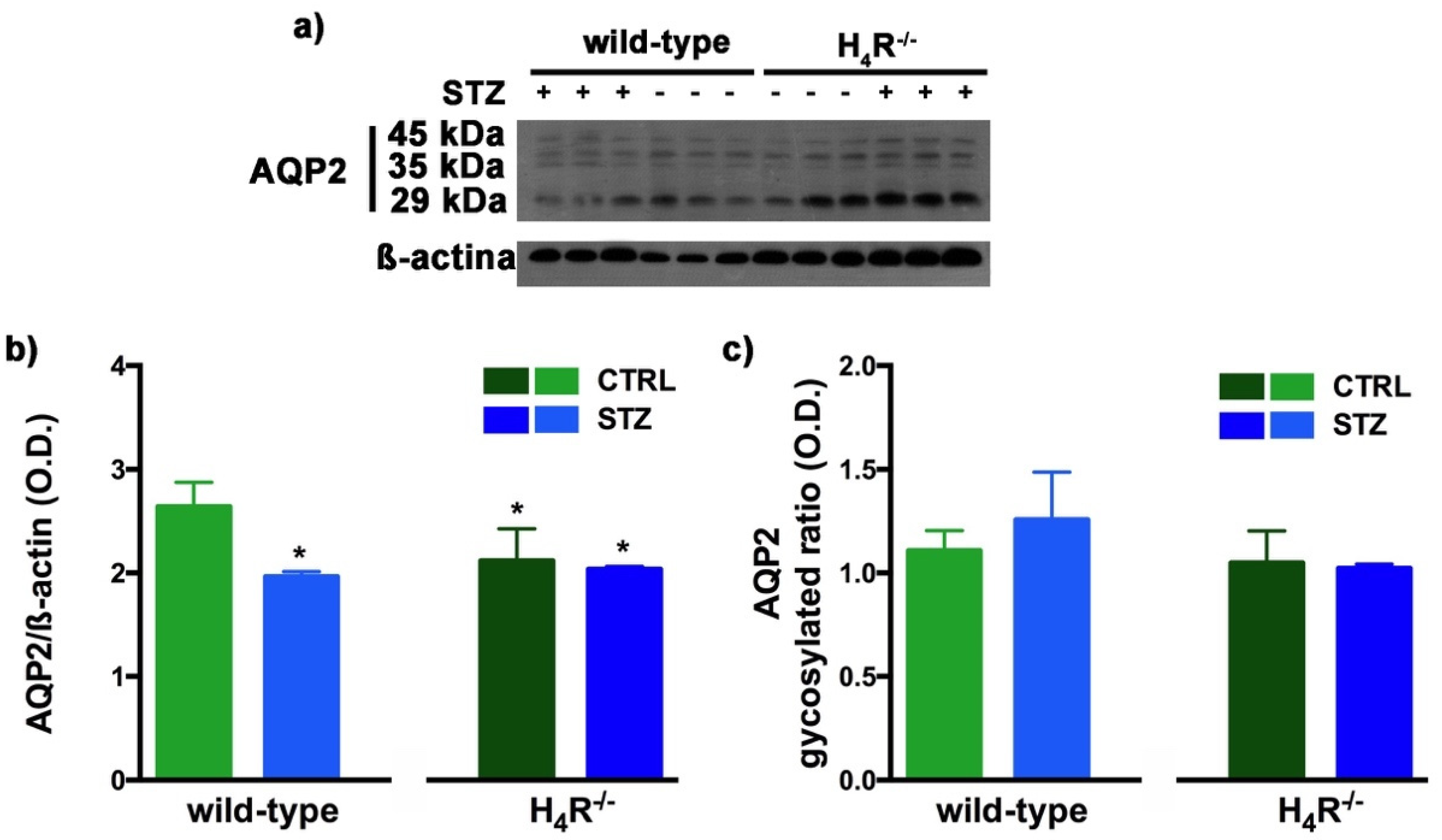 Biomolecules 11 01517 g010 Biomolecules 11 01517 g010