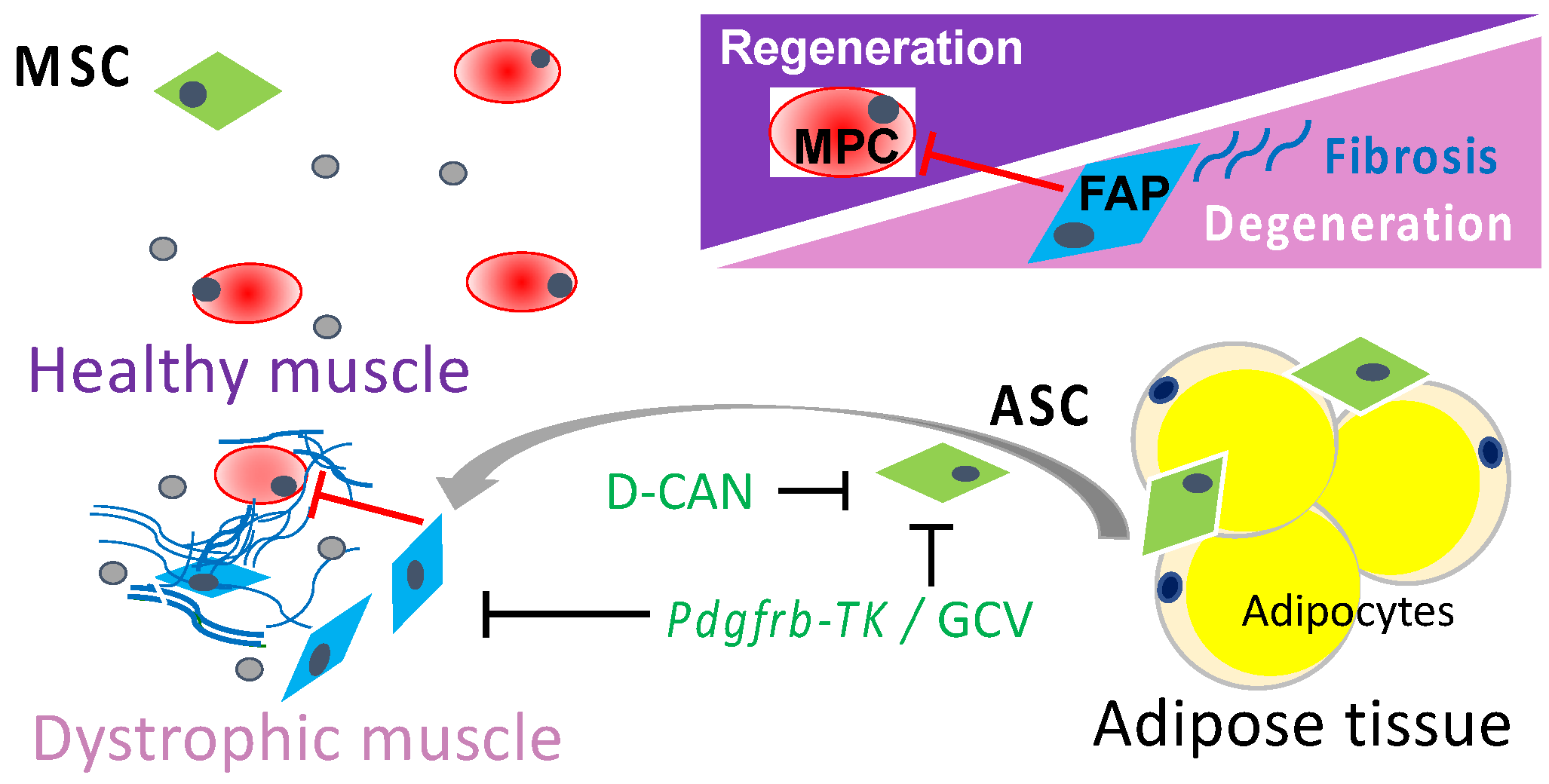Biomolecules 11 01519 g001